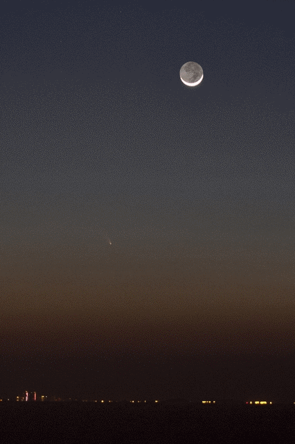 L4.gif