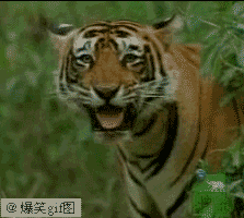 [CCGJ0(ROPR[QRG%CJ6[{J1.gif