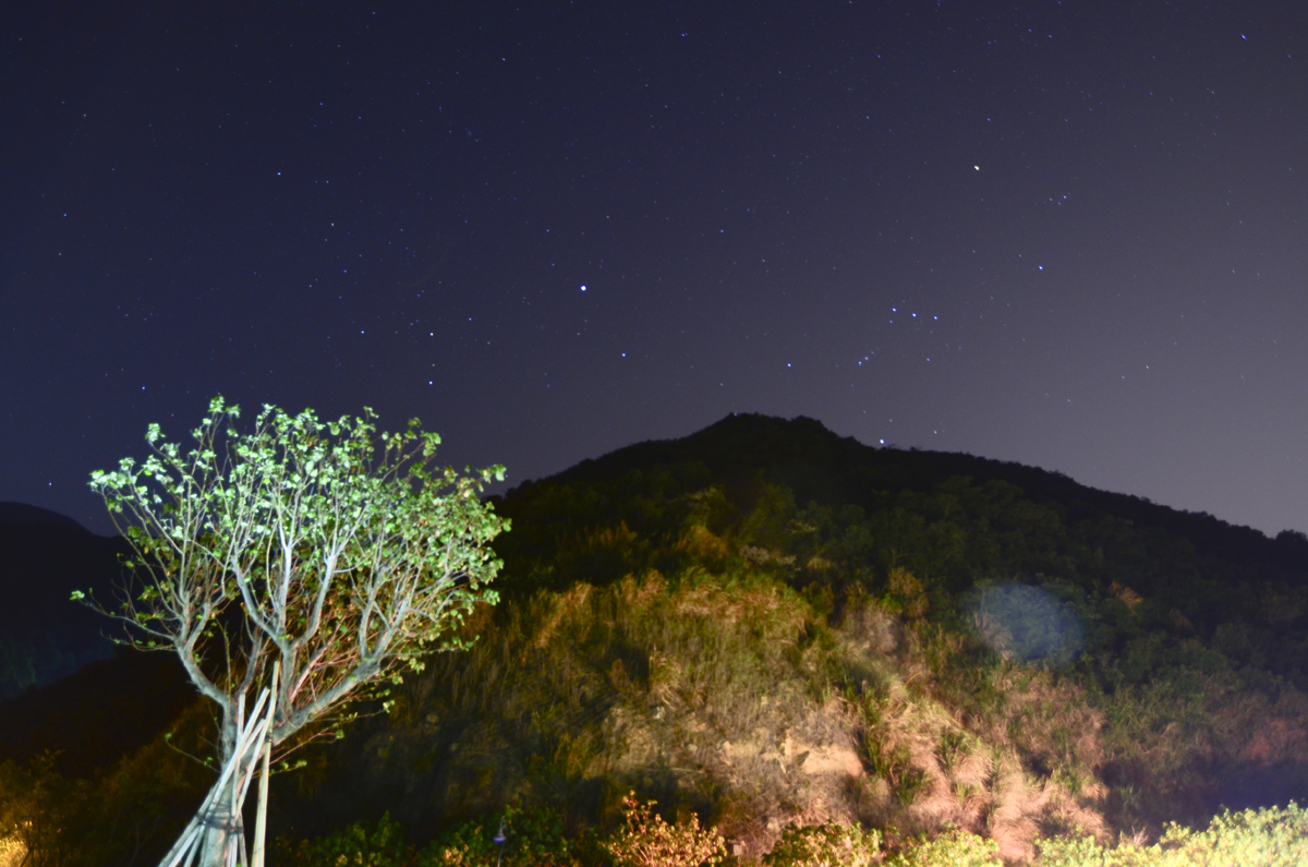 DSC_0998A.jpg