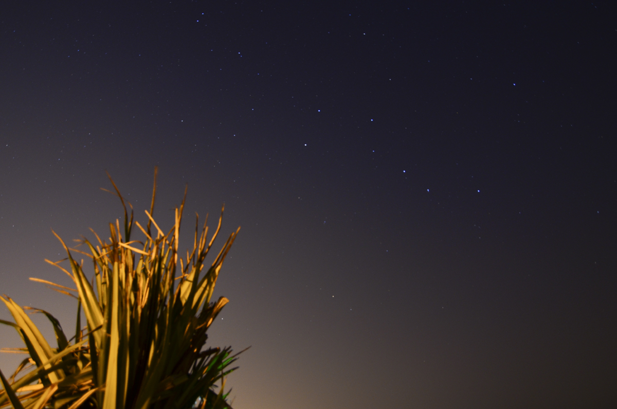 DSC_1018A.jpg