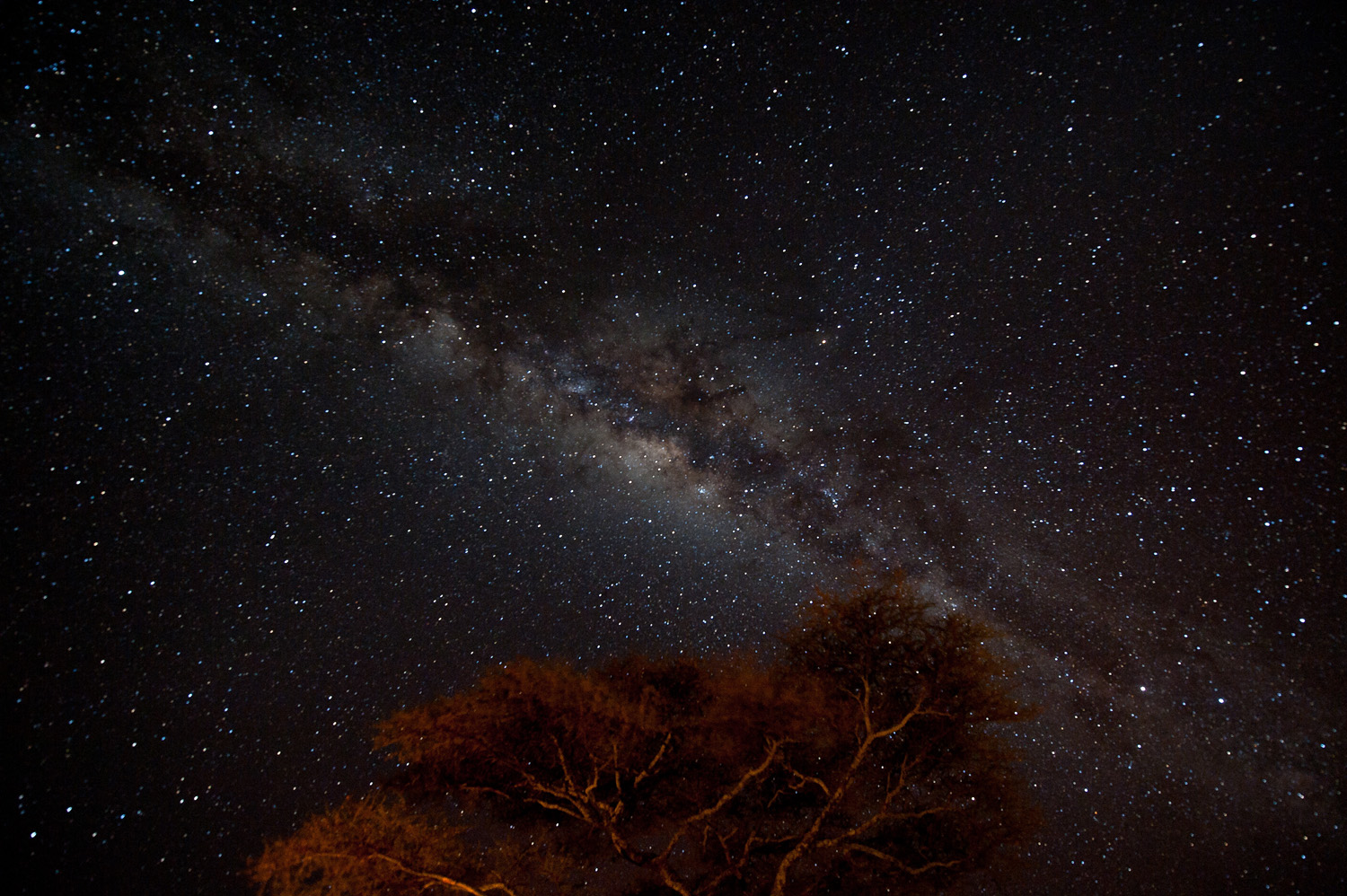 尼康d3 14-24mm f2.