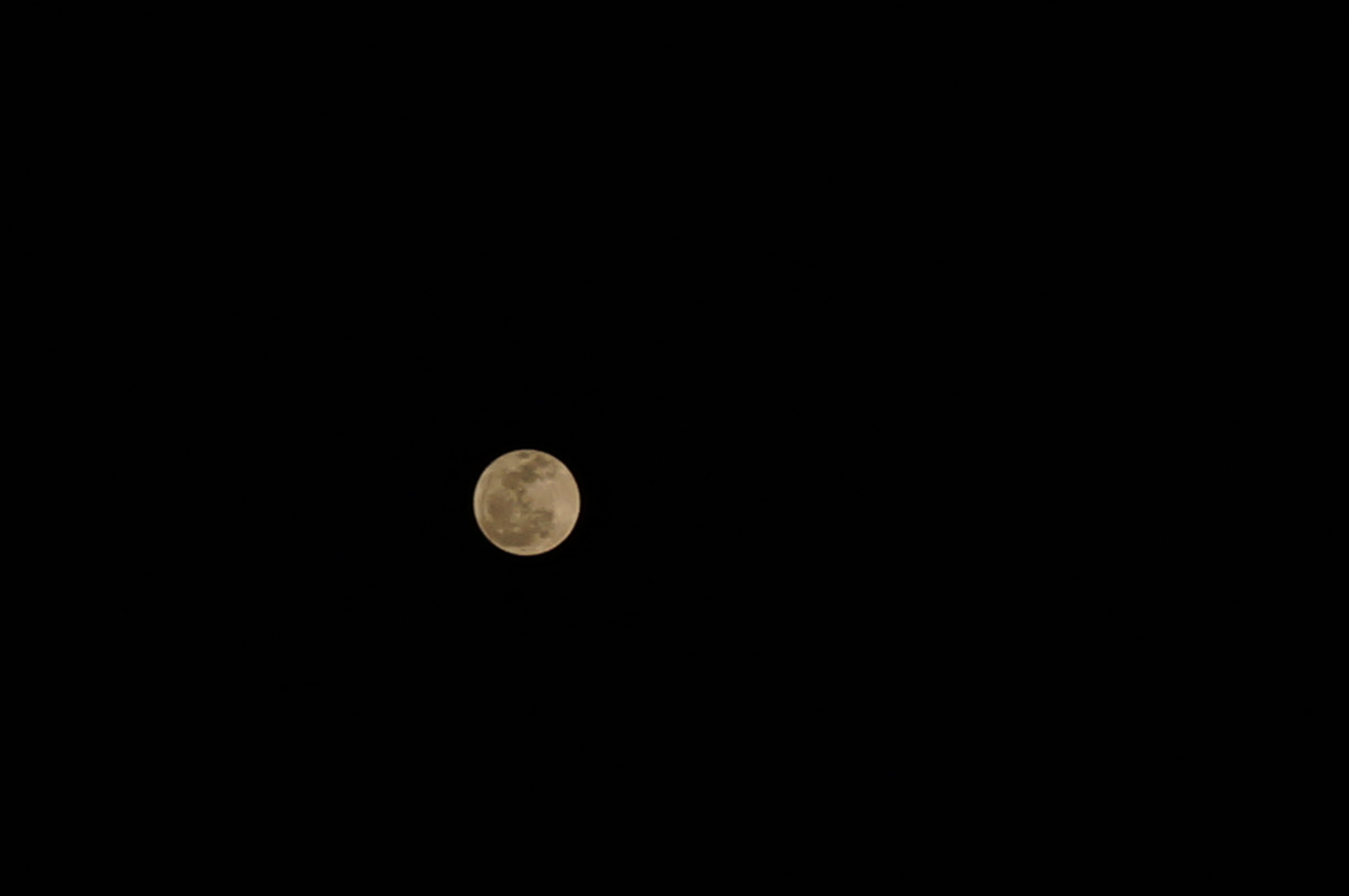 DSC00070.JPG