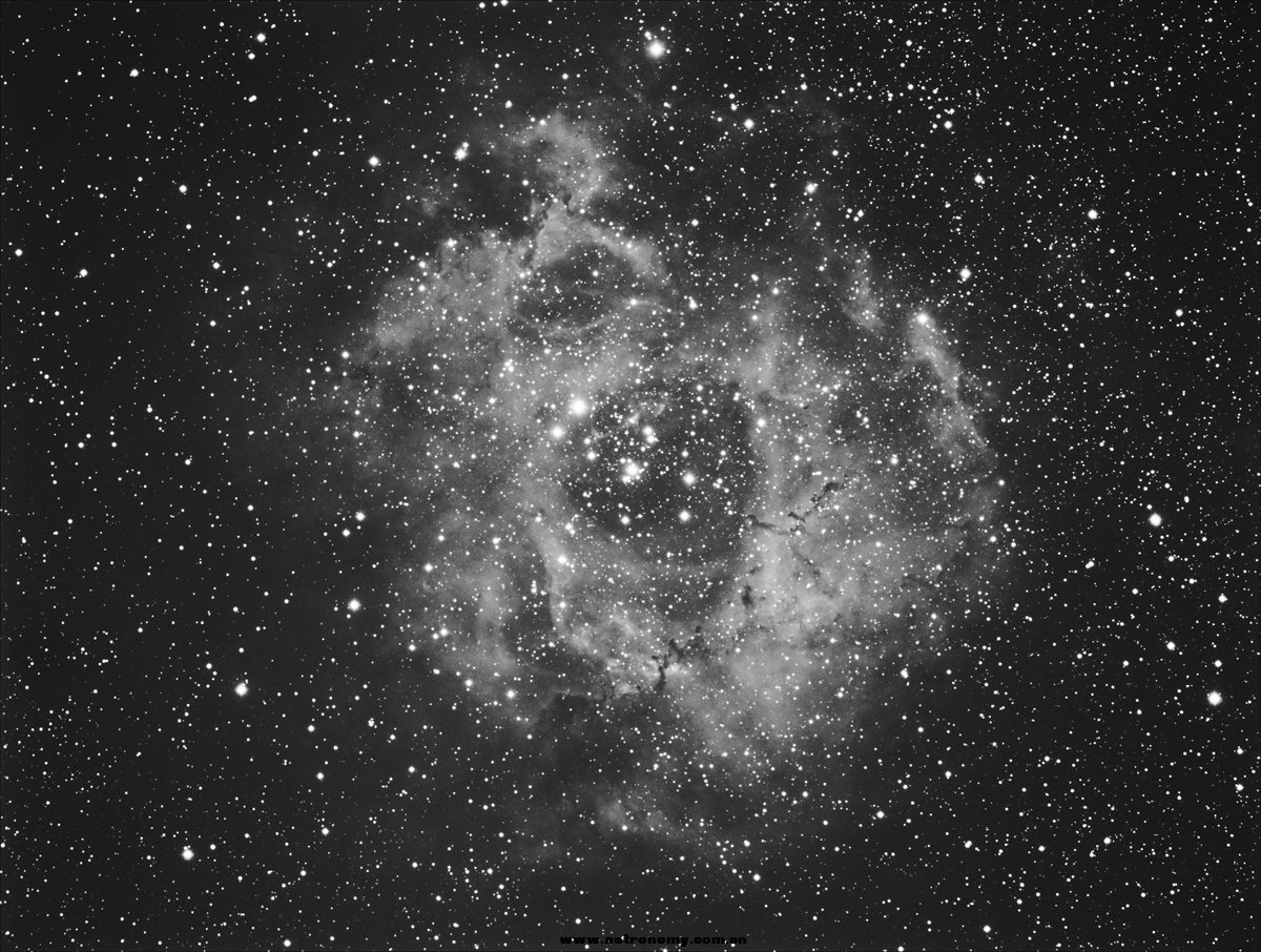 NGC2244.jpg