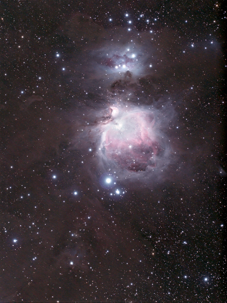 MM4221.jpg