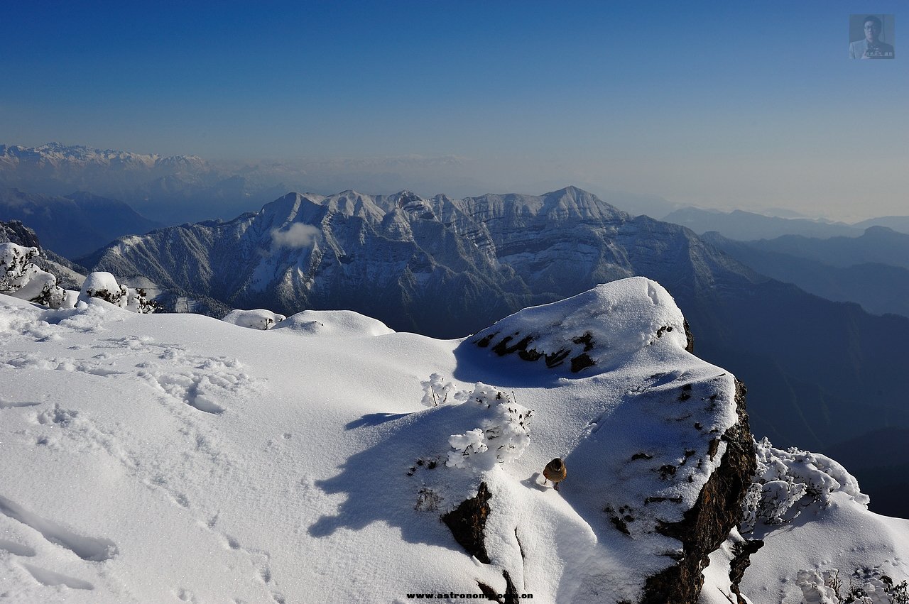 DSC_4169.jpg