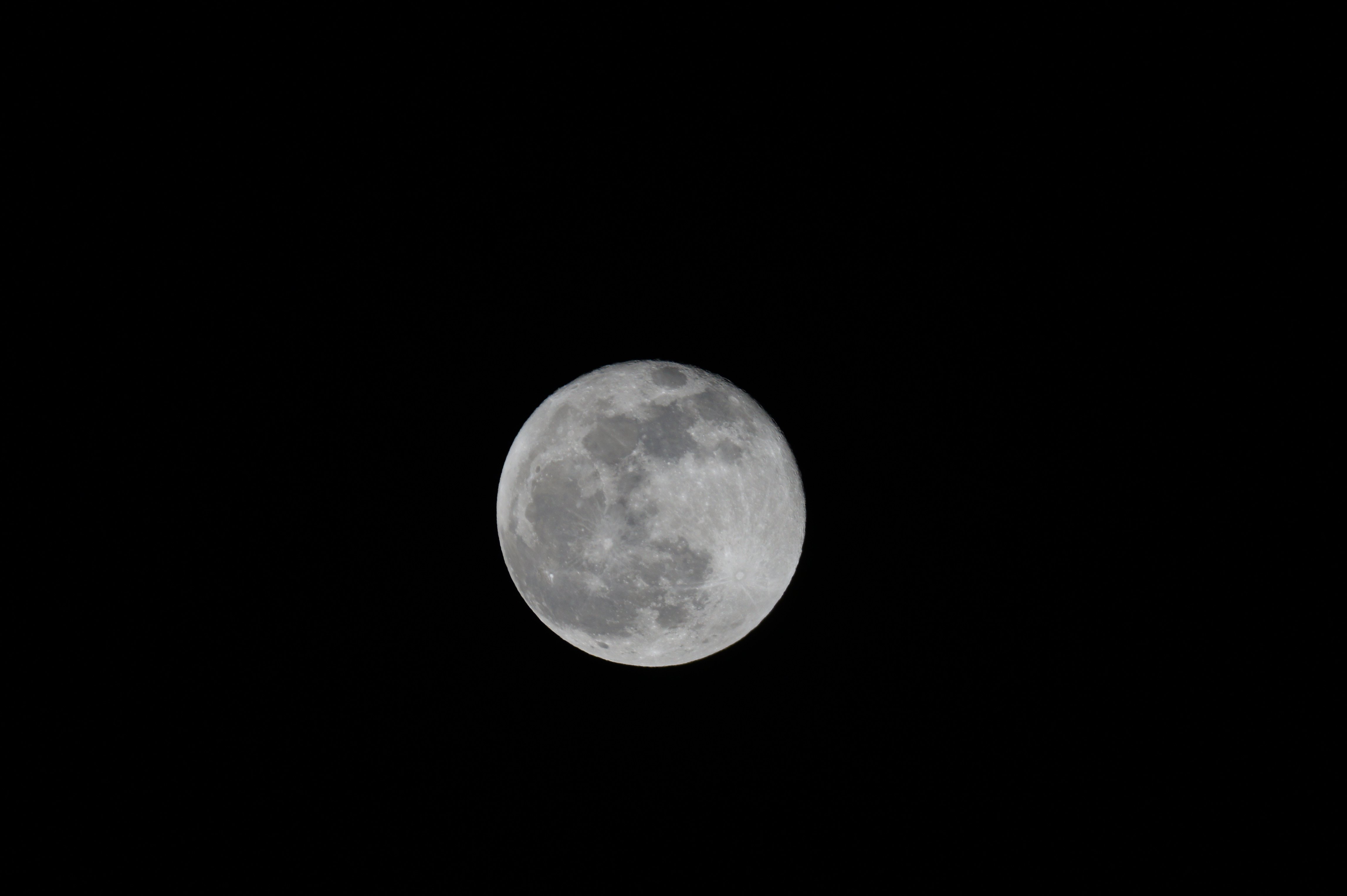DSC09726.JPG
