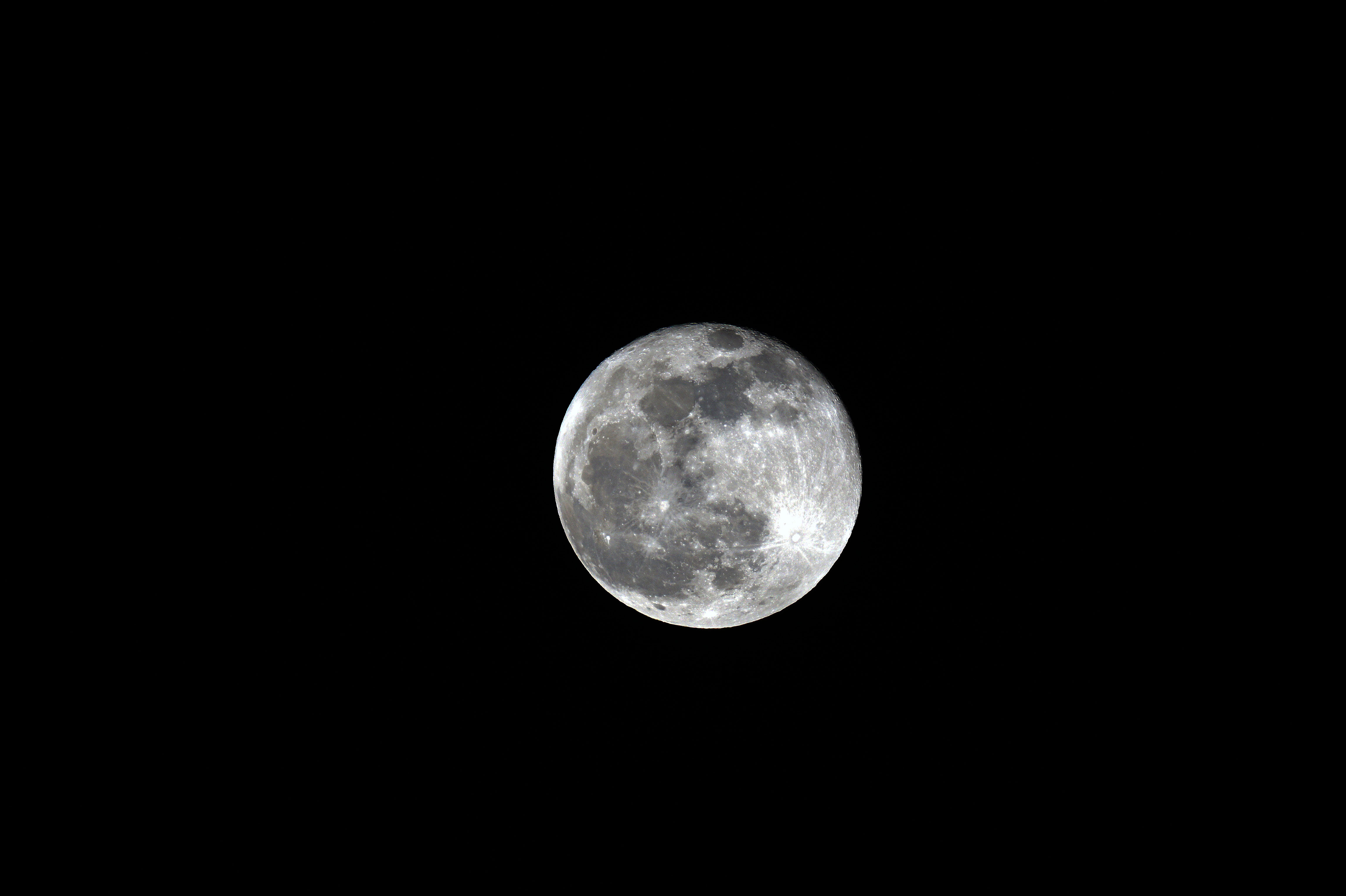 DSC09727_1.jpg