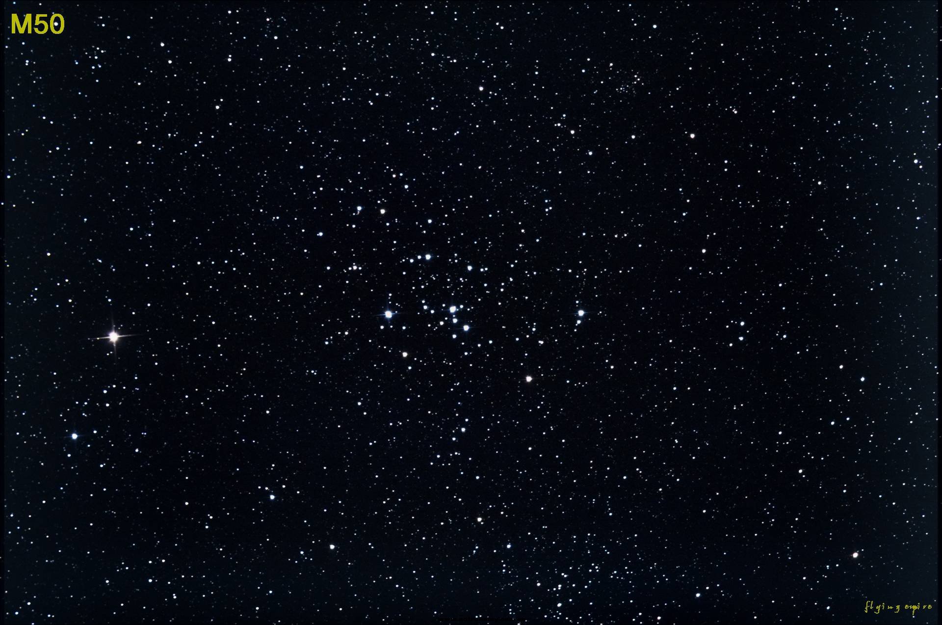 M50.jpg
