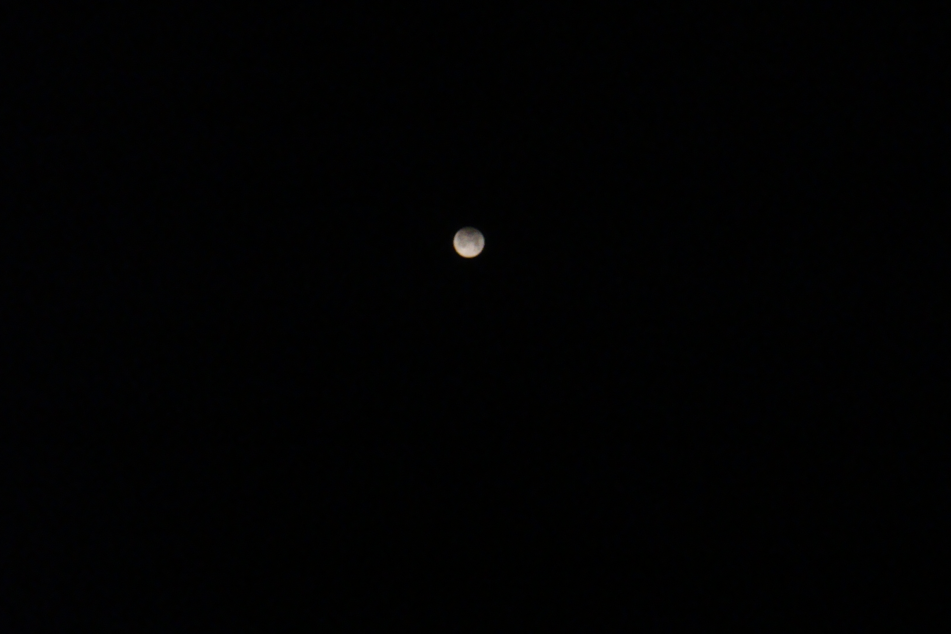 DSC07580.jpg