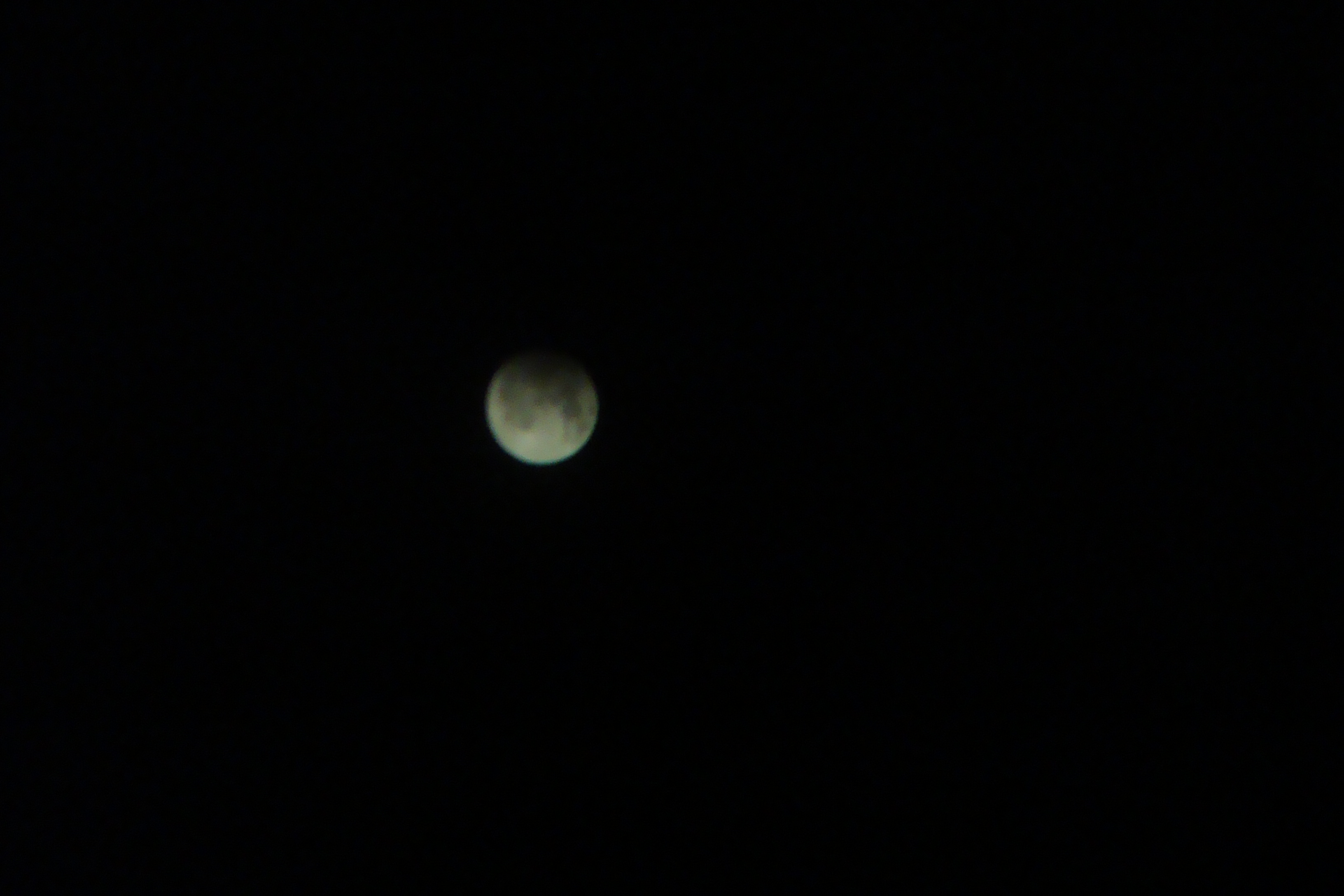 DSC07585.jpg