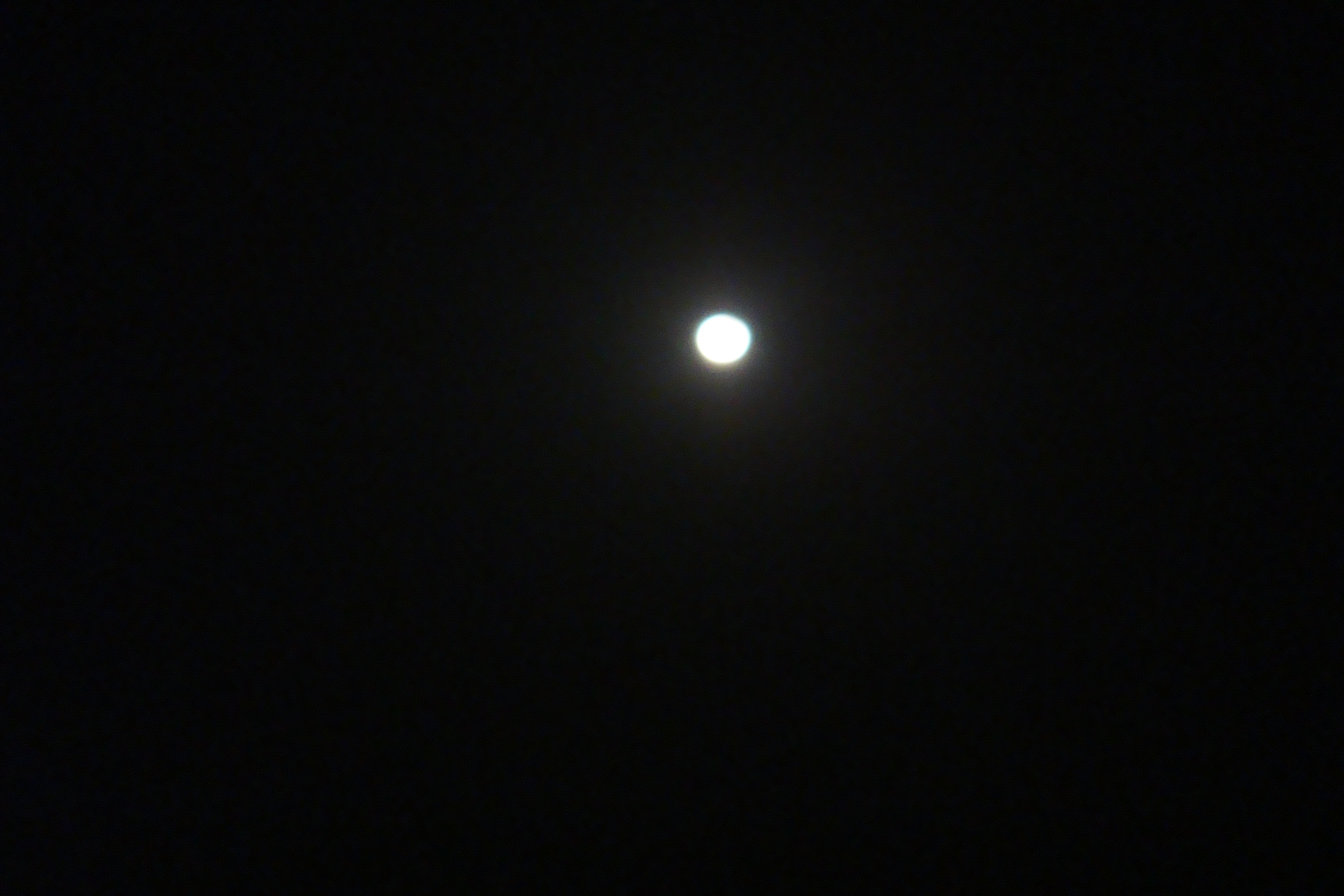 DSC07589.jpg