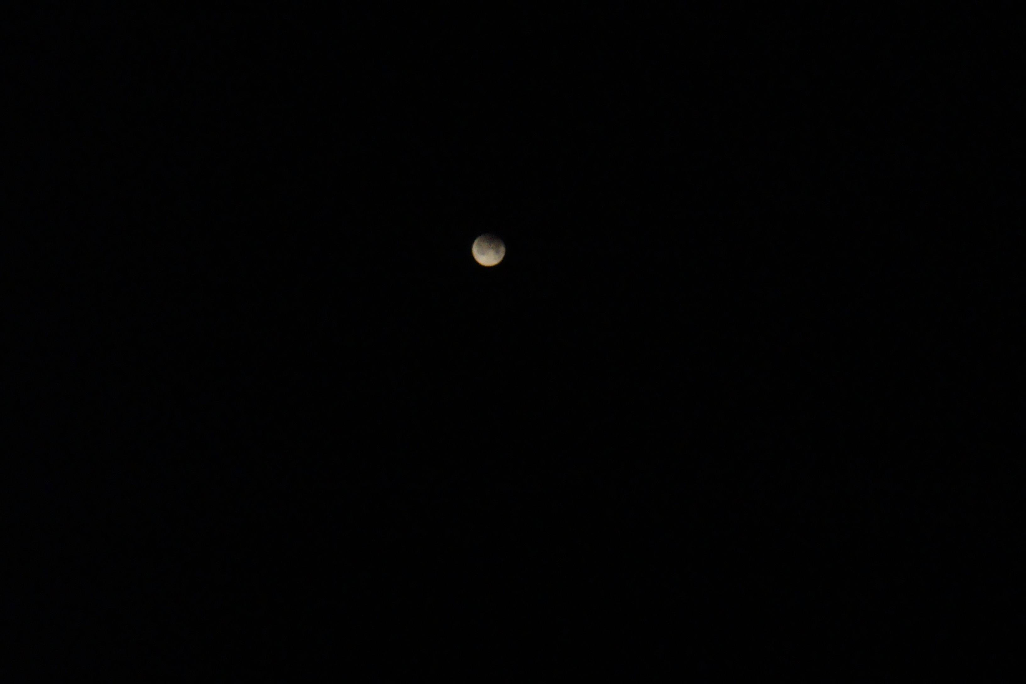 DSC07591.jpg