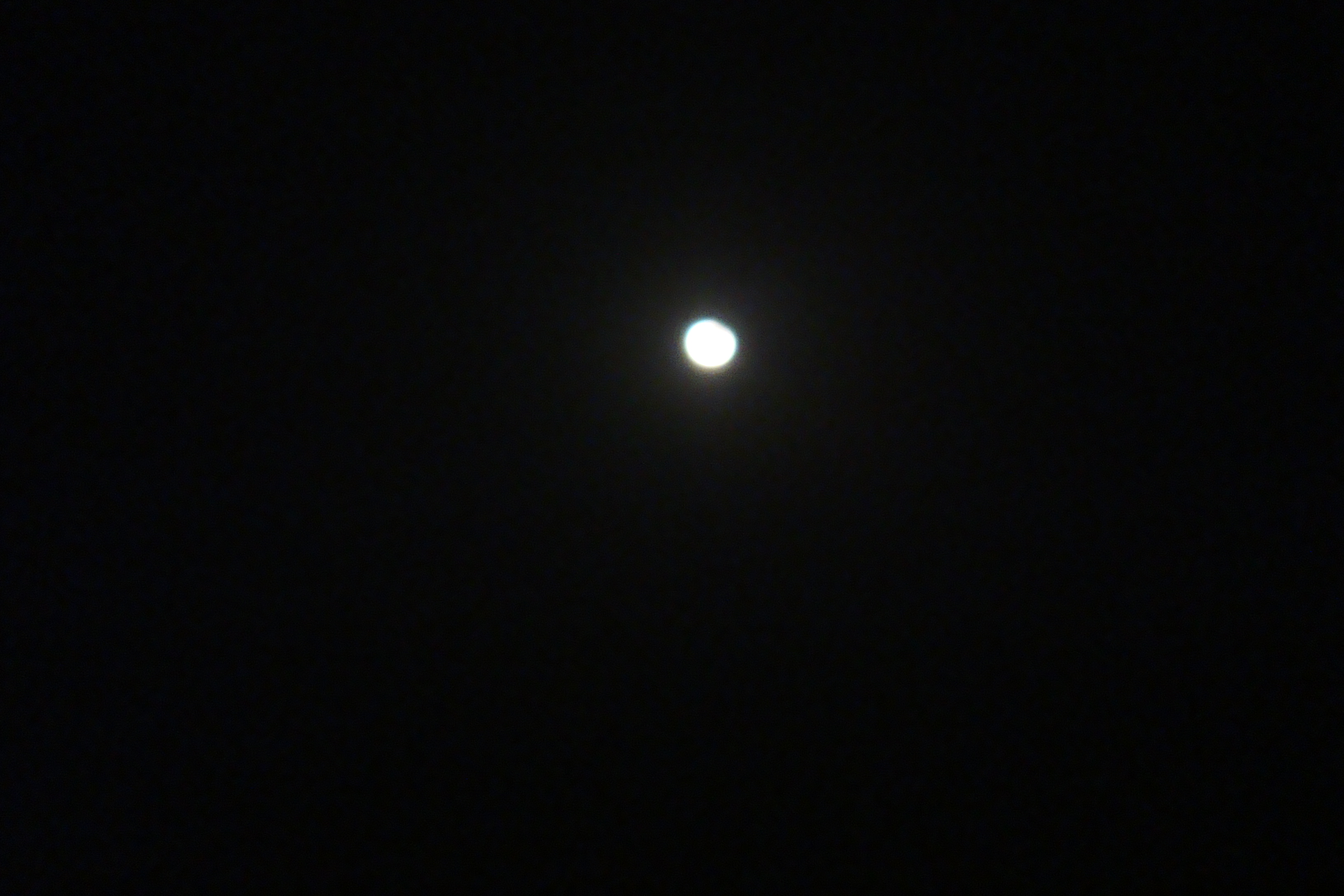 DSC07602.jpg