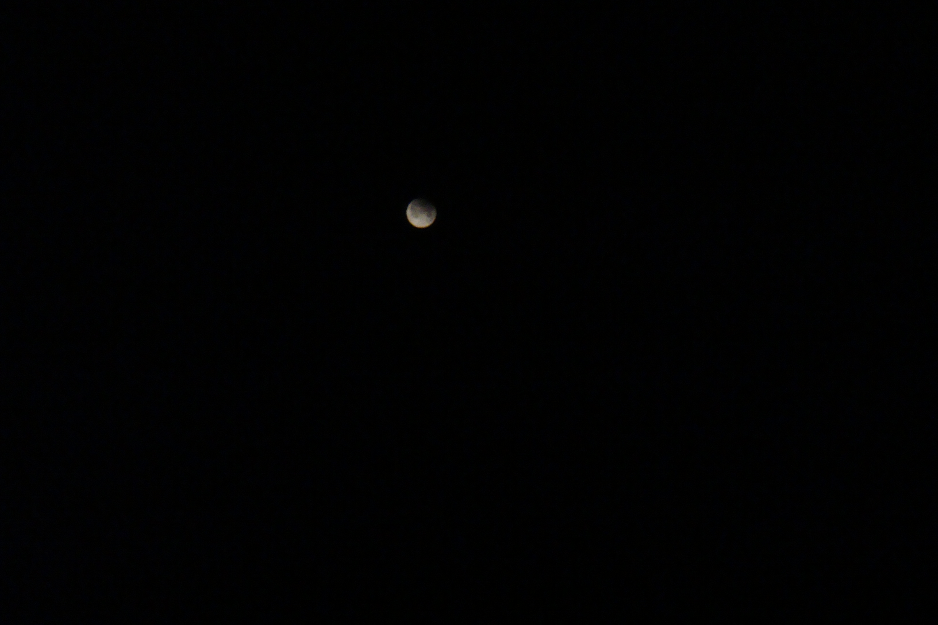 DSC07604.jpg