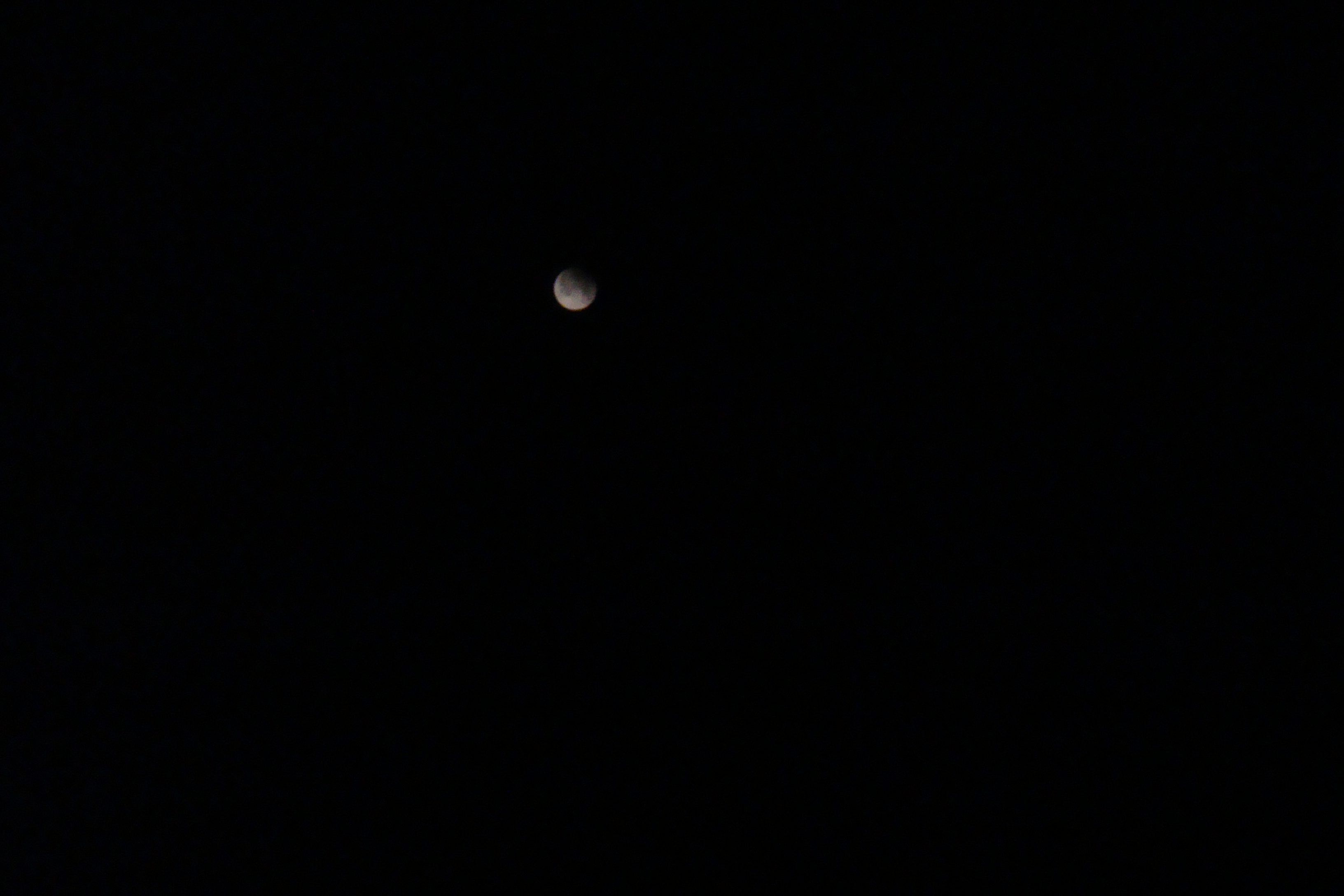 DSC07615.jpg