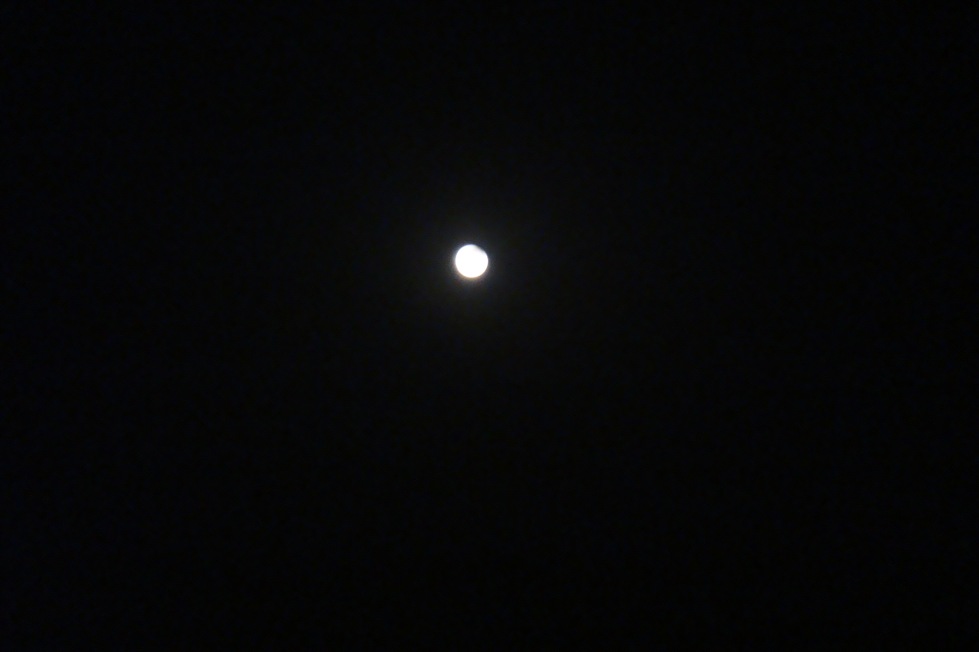 DSC07617.jpg