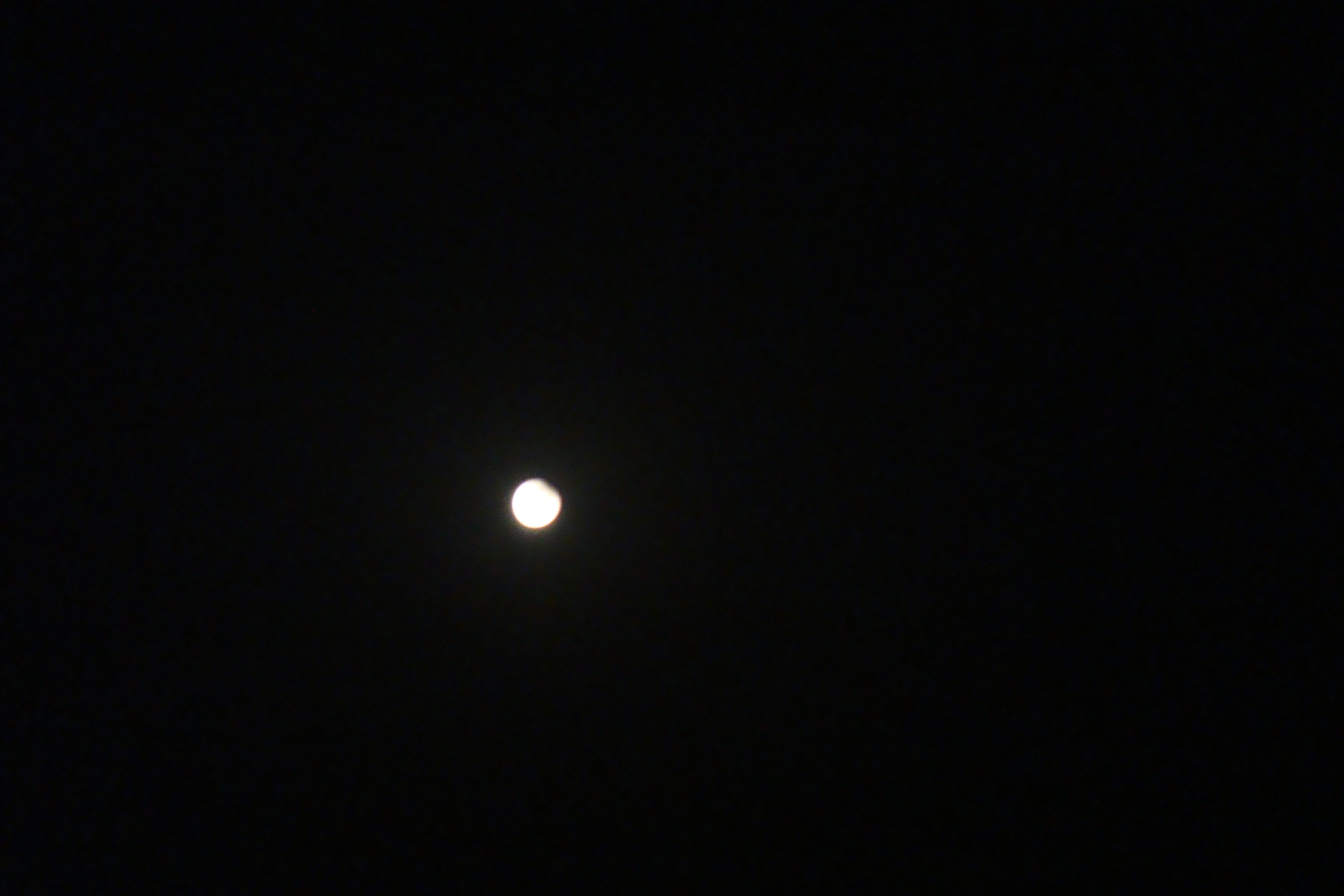 DSC07624.jpg