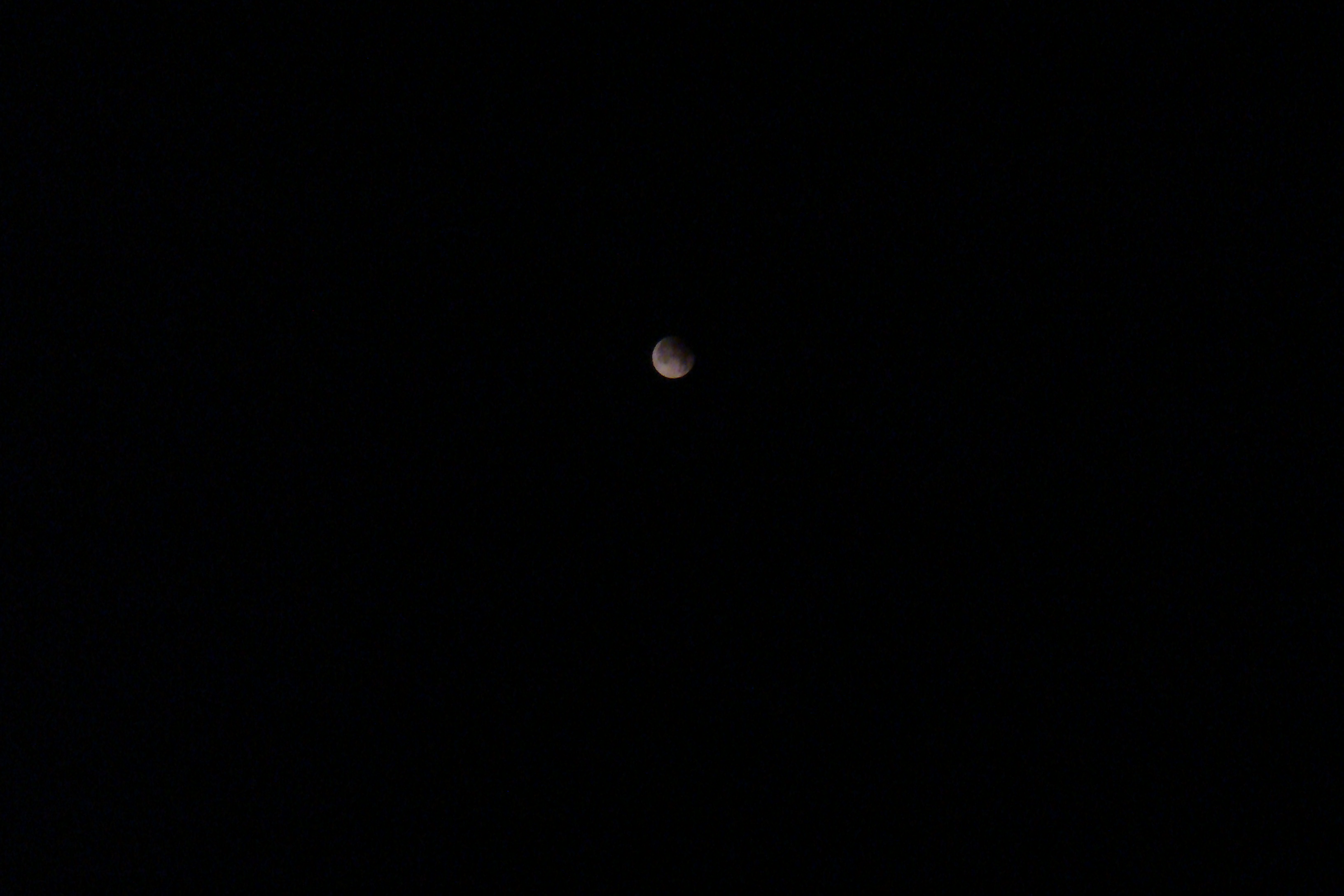 DSC07633.jpg