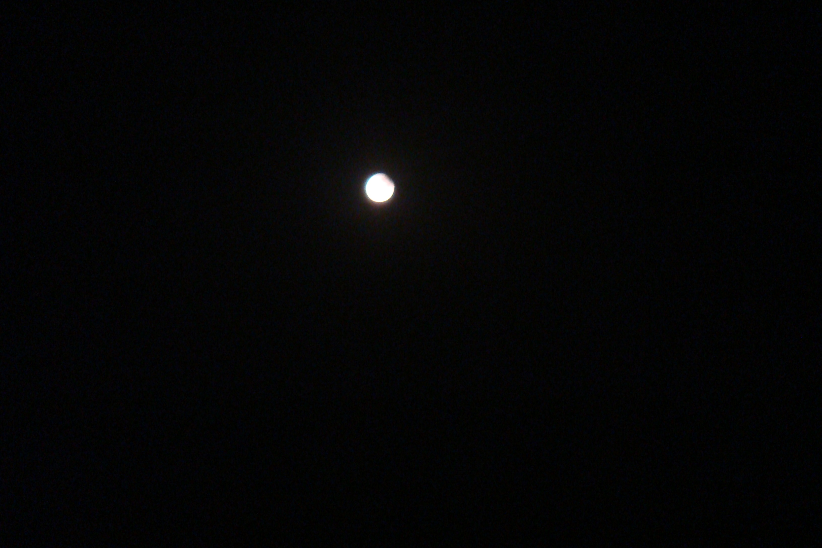 DSC07634.jpg
