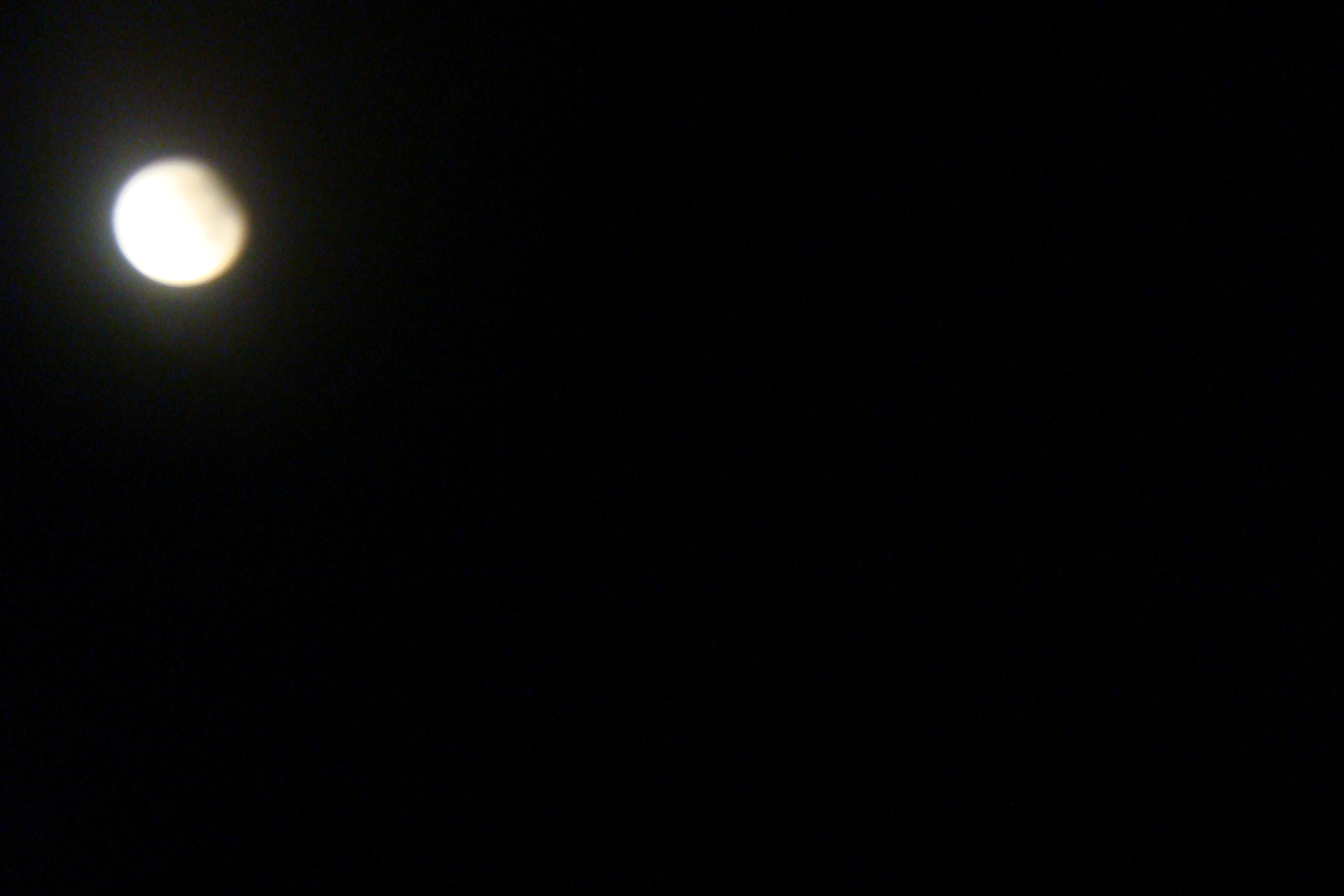 DSC07649.jpg