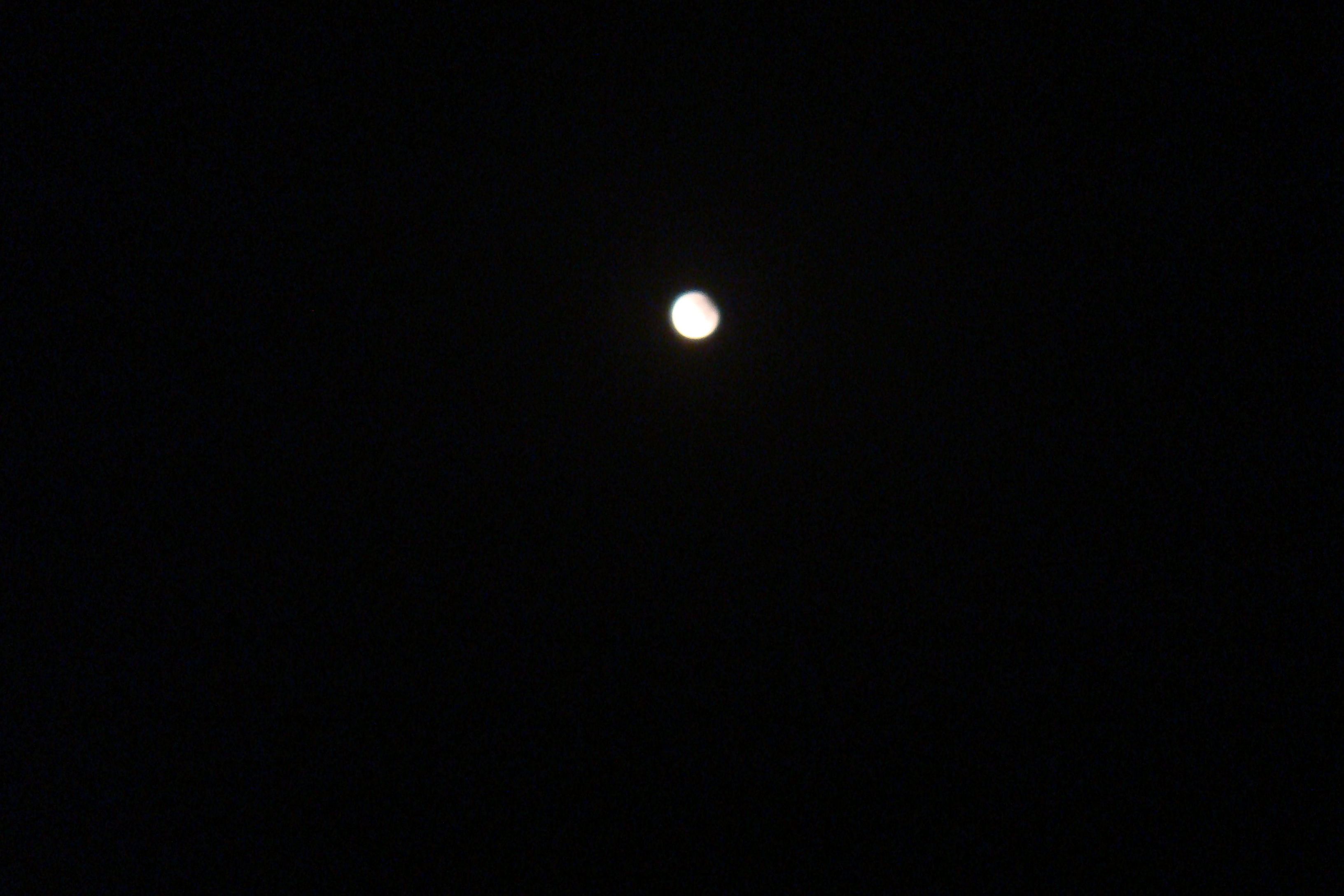 DSC07655.jpg