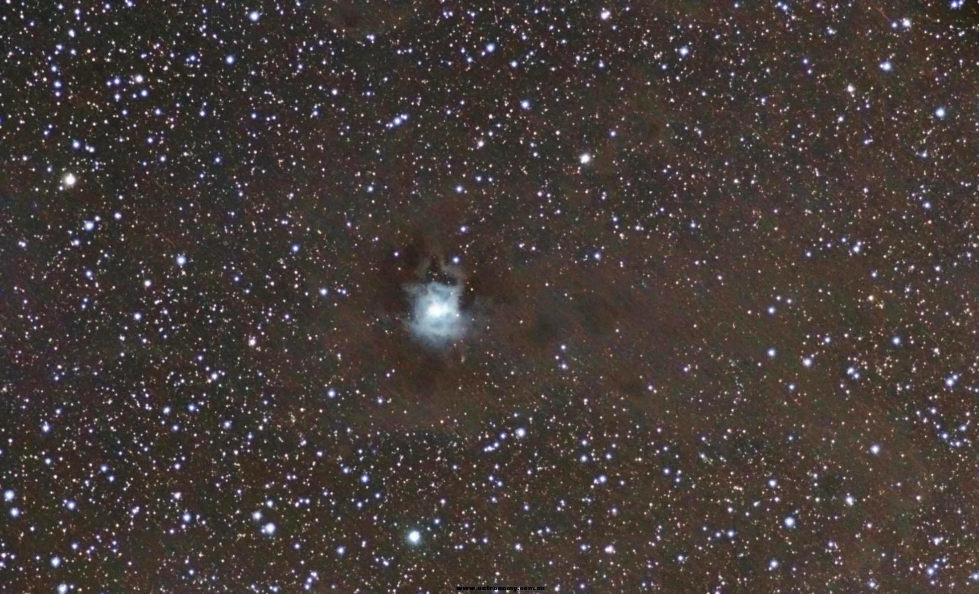 第二次拍鸠尾花 ngc7023 (星明公众天文台)