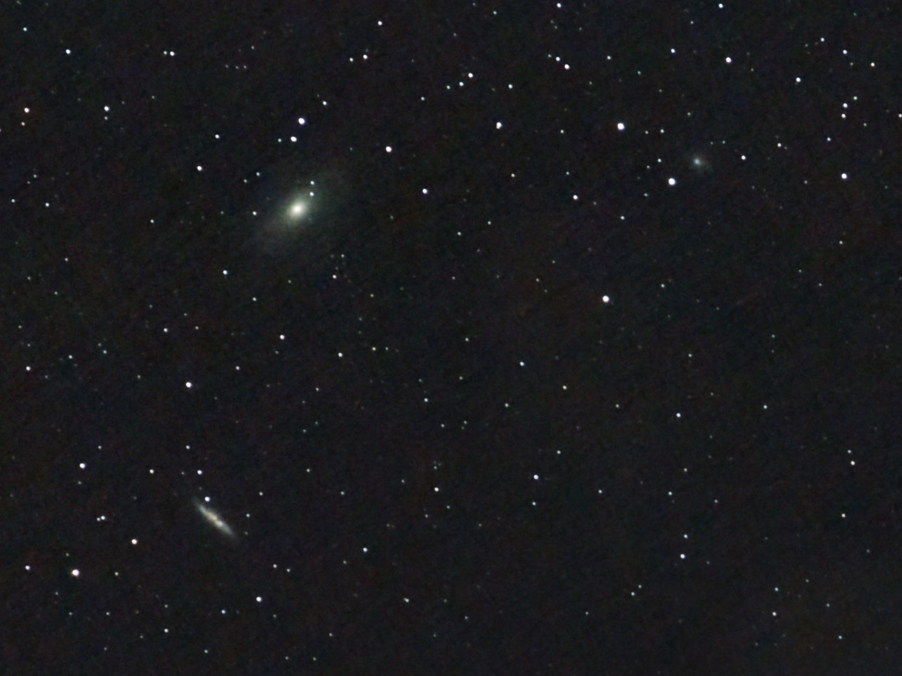 m81 m82