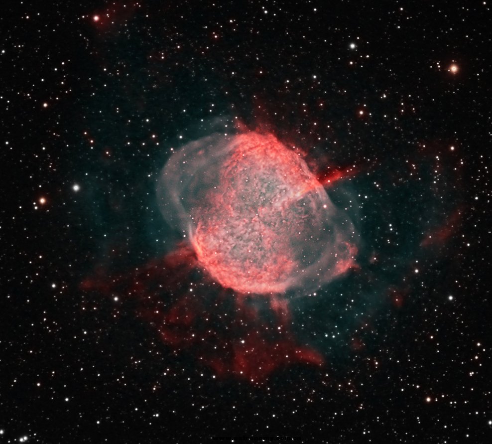 M 27 Bicolor2.jpg