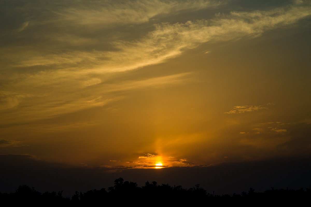 DSC_5260s.jpg