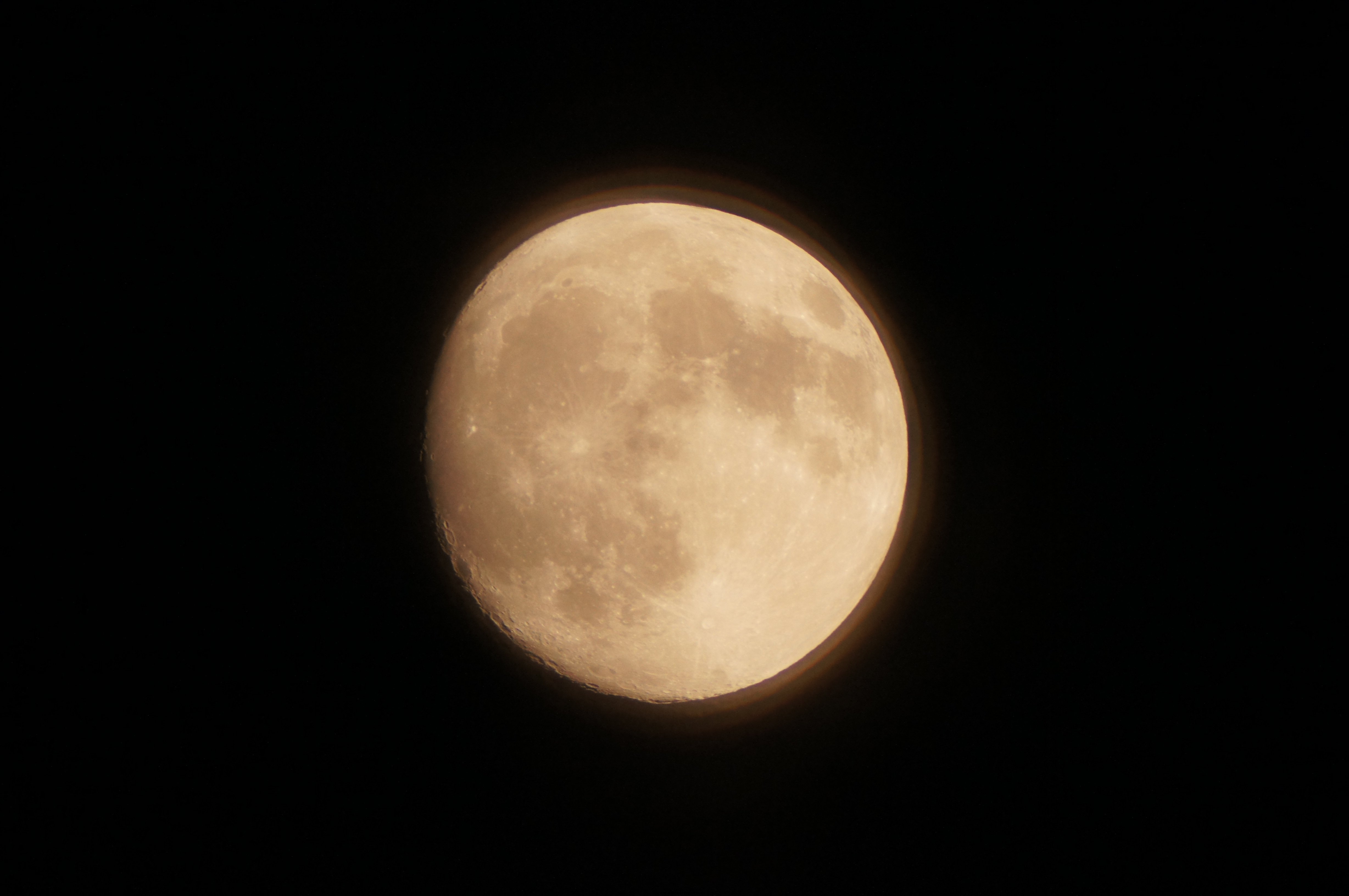 DSC04010.JPG