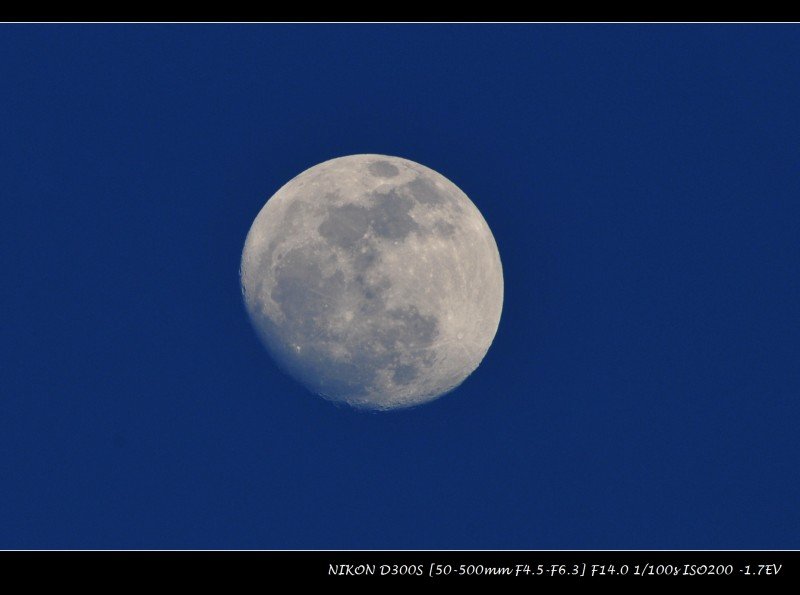 DSC_7388_001.jpg