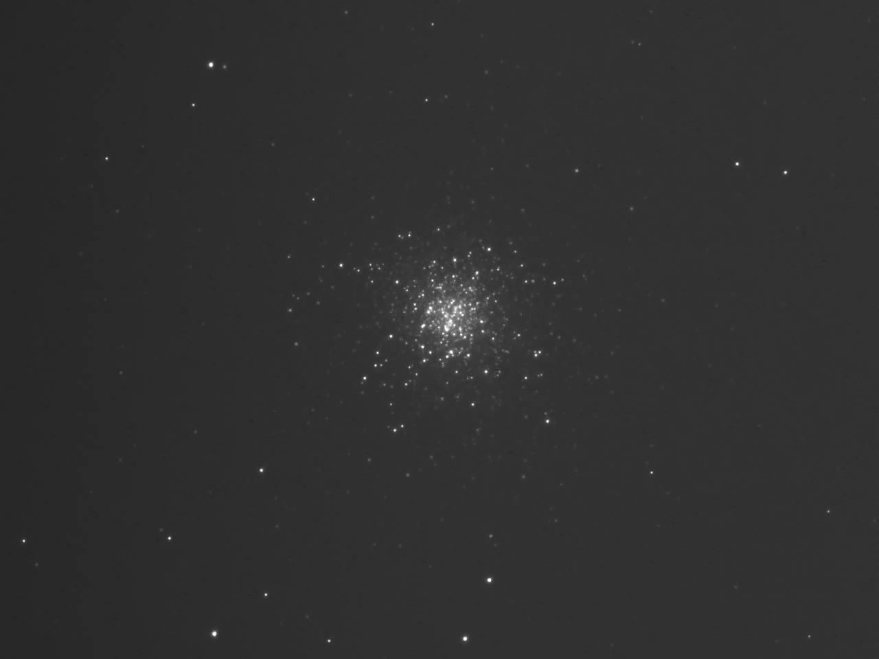 M13.jpg