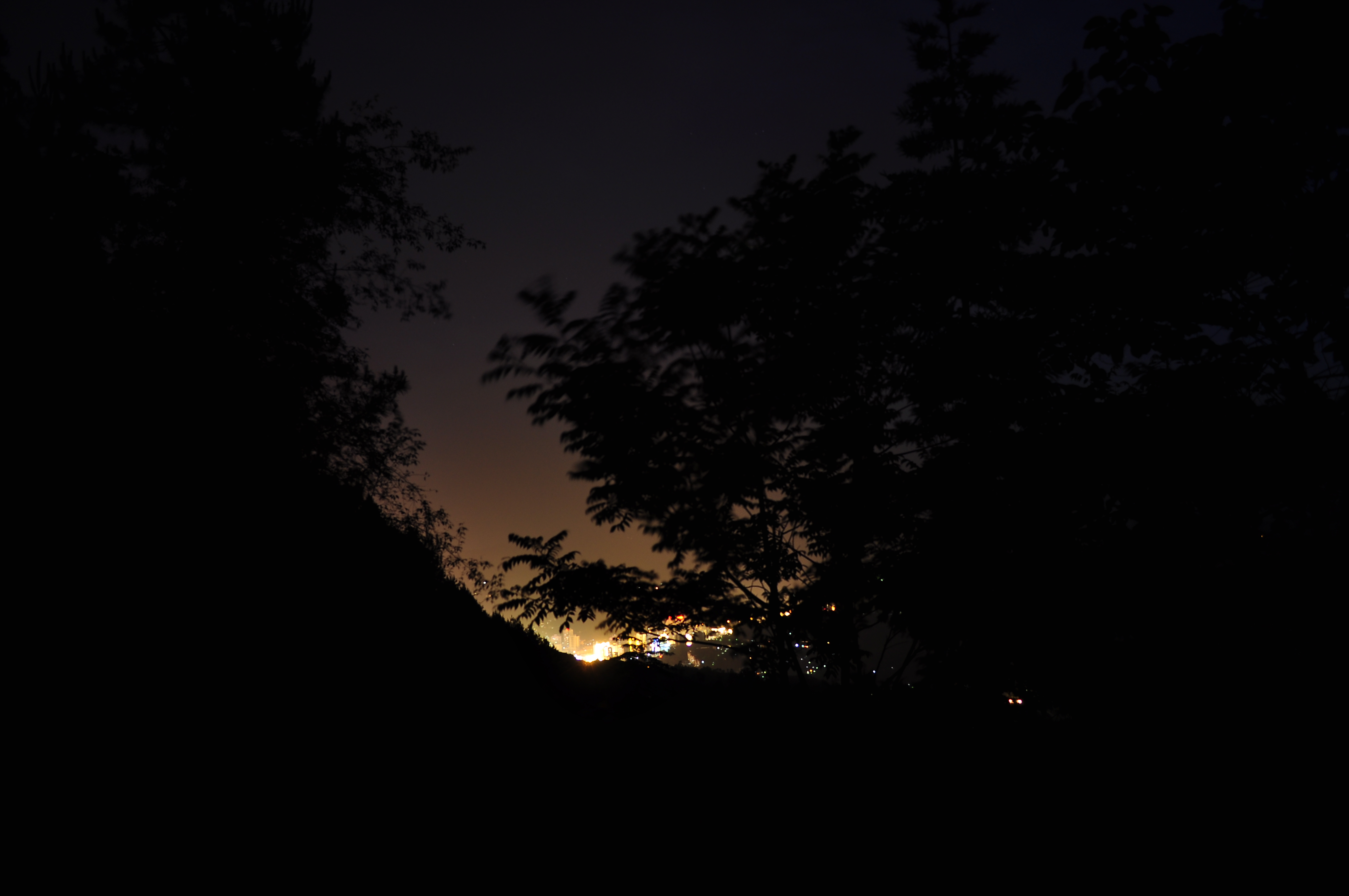 _DSC1716.jpg