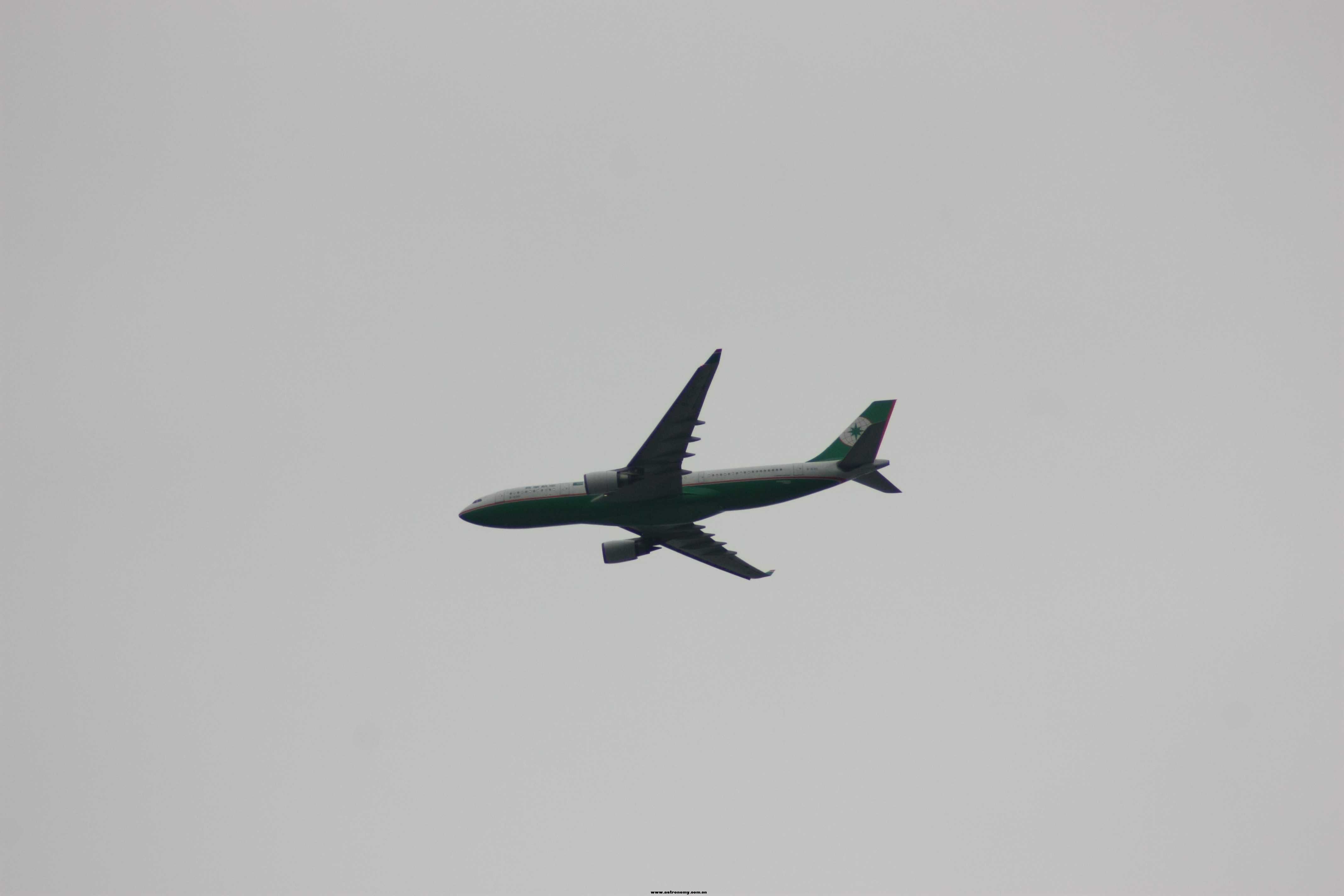 IMG_8355.JPG