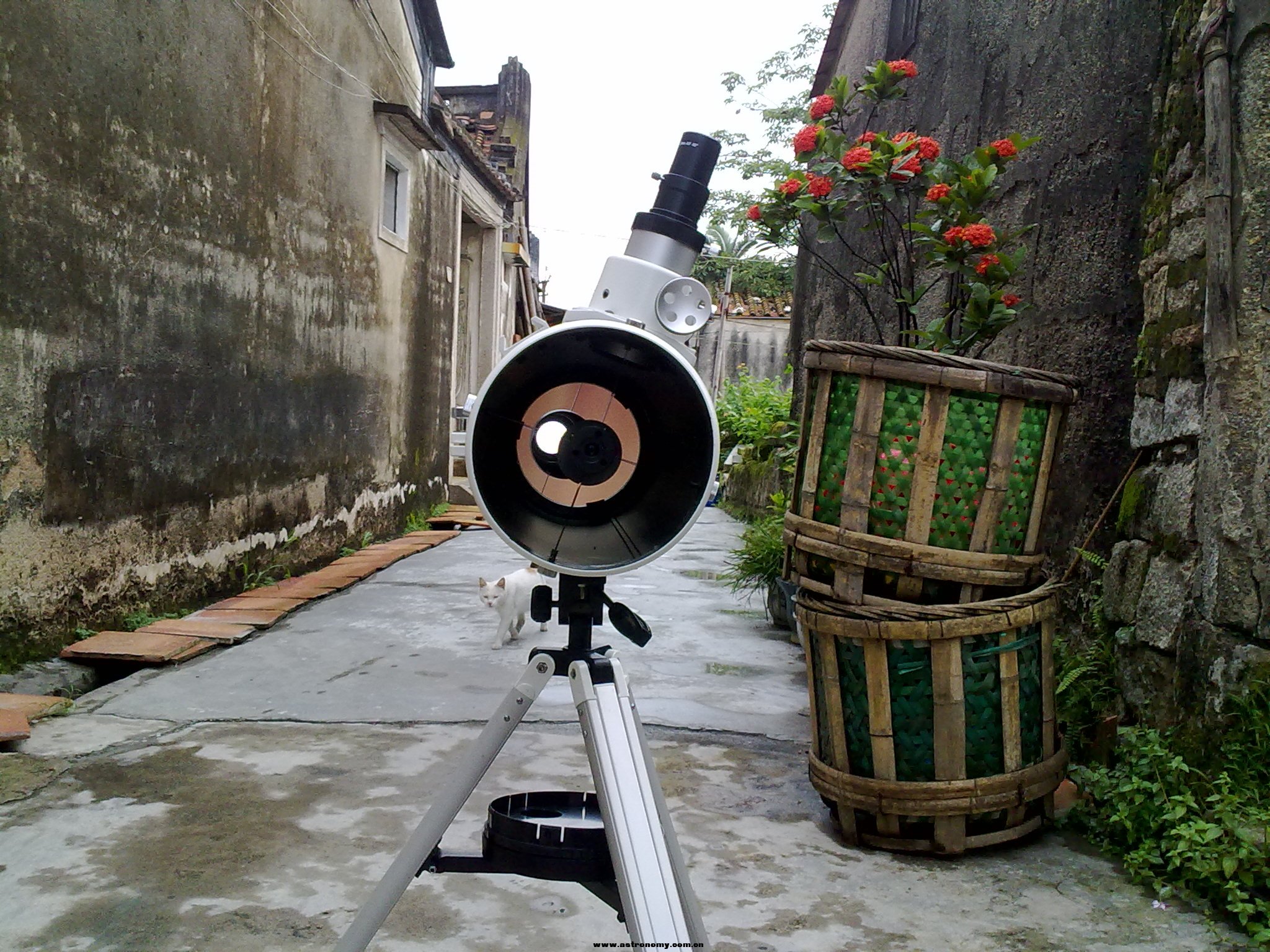 20130608057.jpg