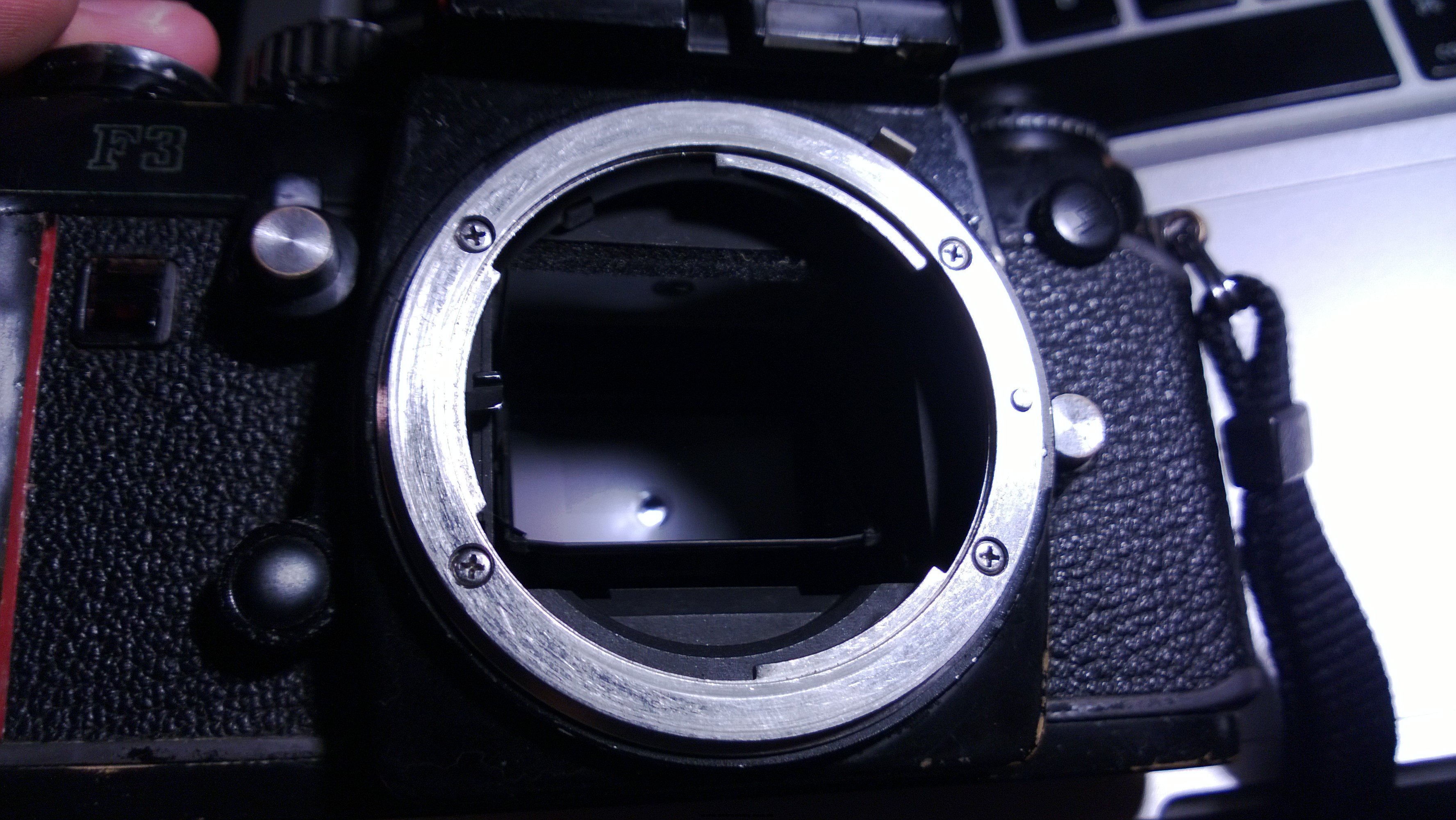 WP_20130610_072.jpg