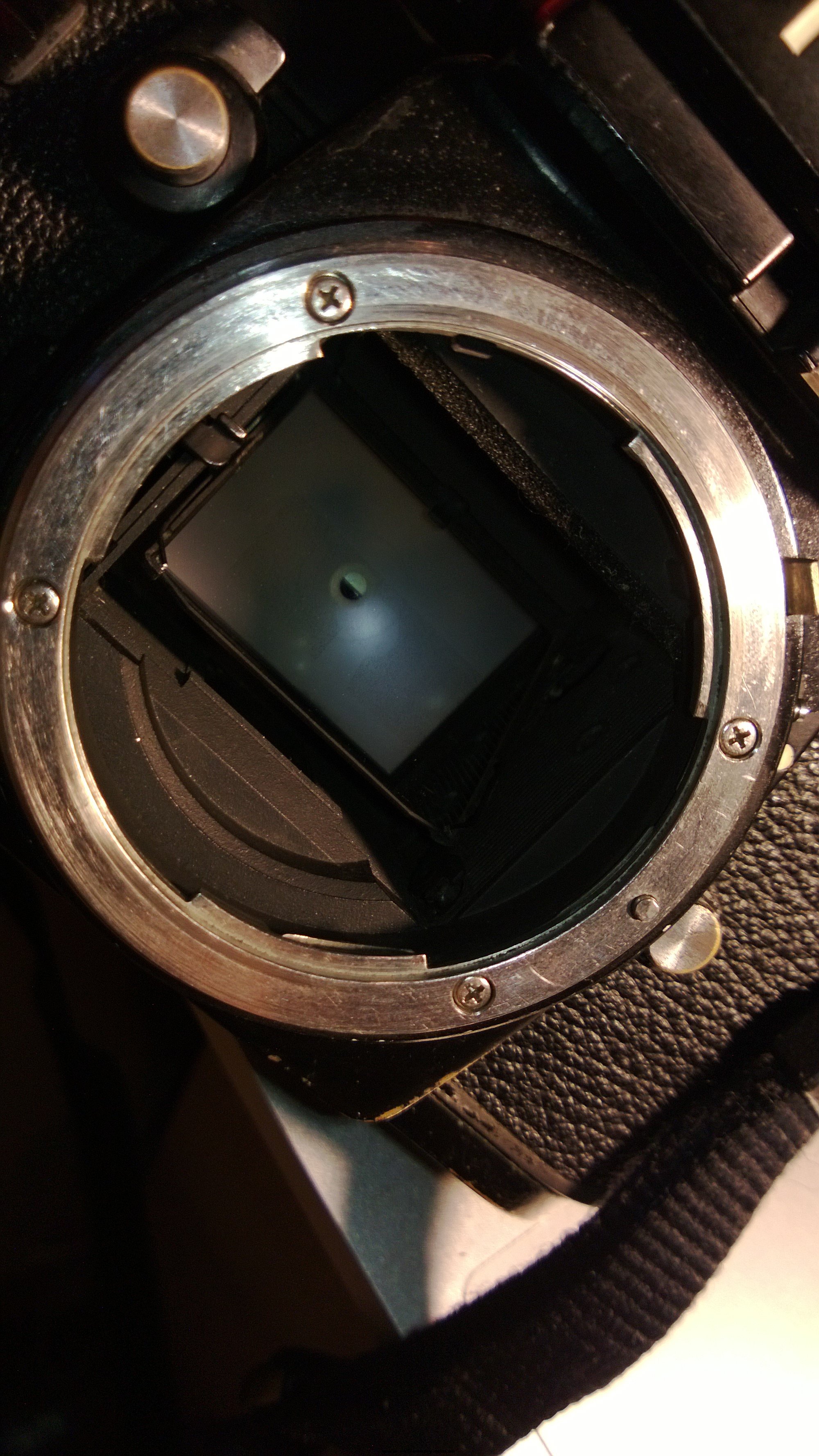 WP_20130610_073.jpg
