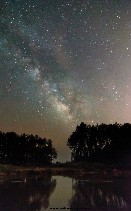 星野2
