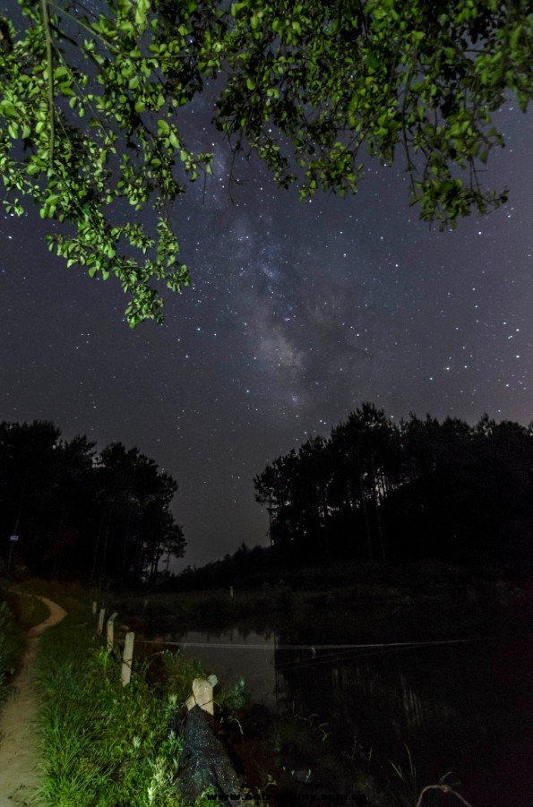 星野5