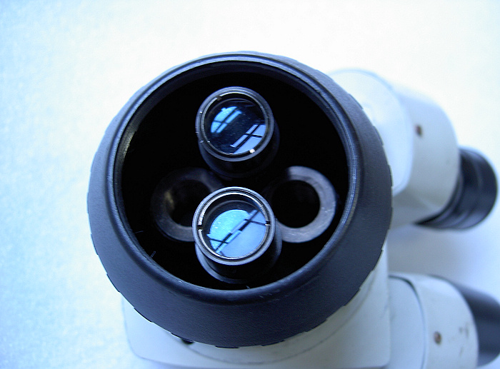 nEO_IMG_PICT2223.jpg