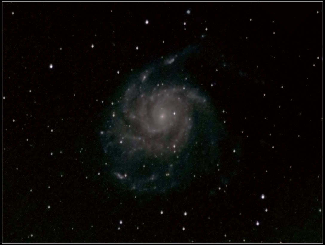 m1019.jpg