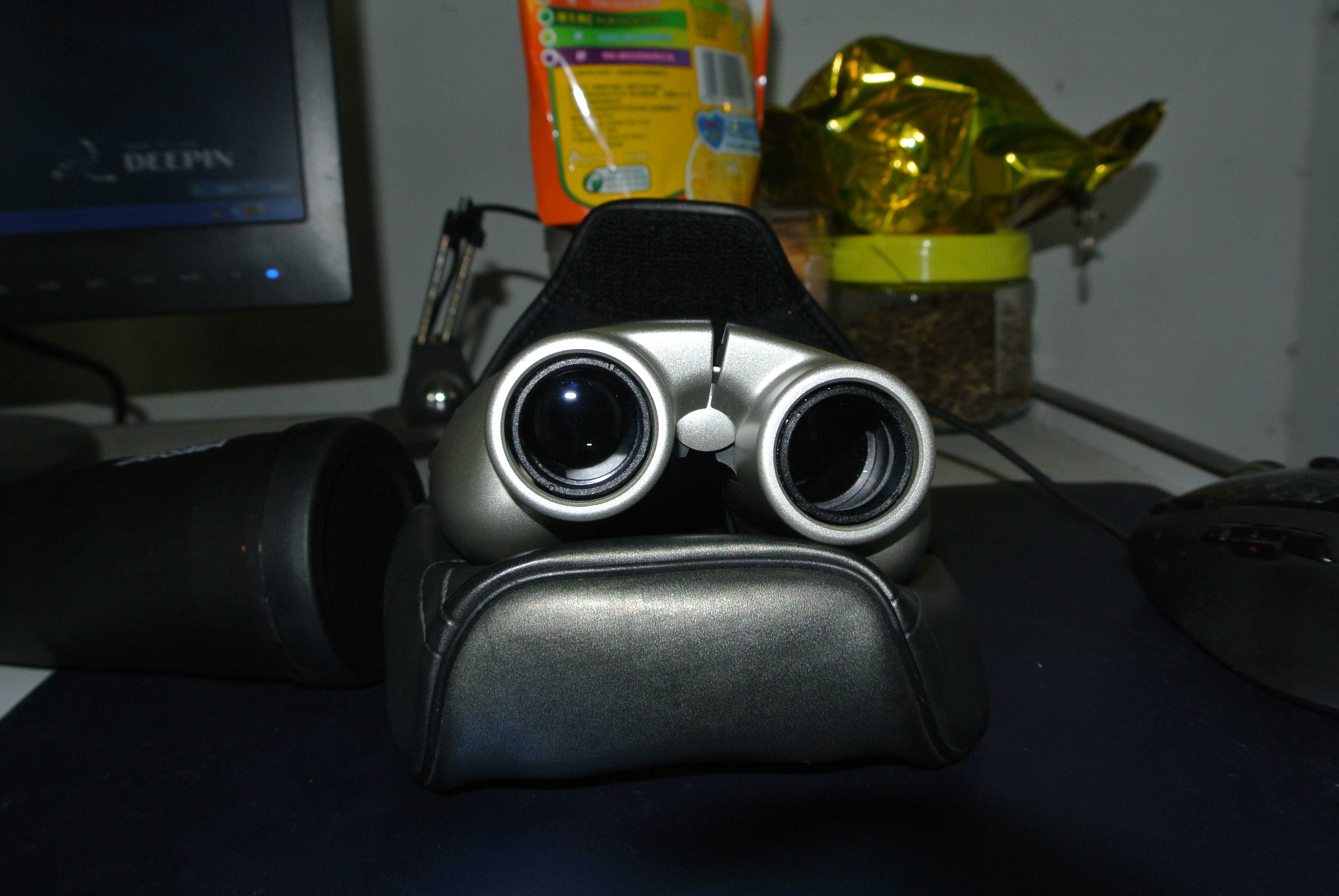 DSC_1514.JPG