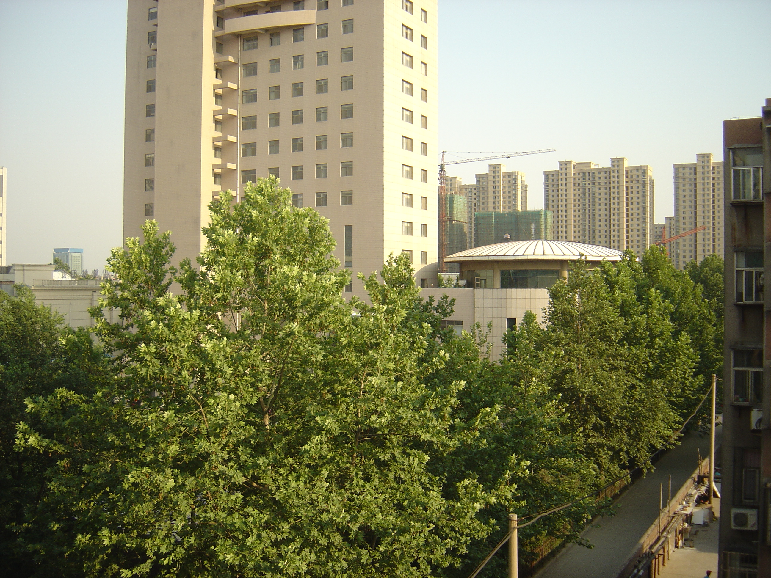 DSC00150.JPG