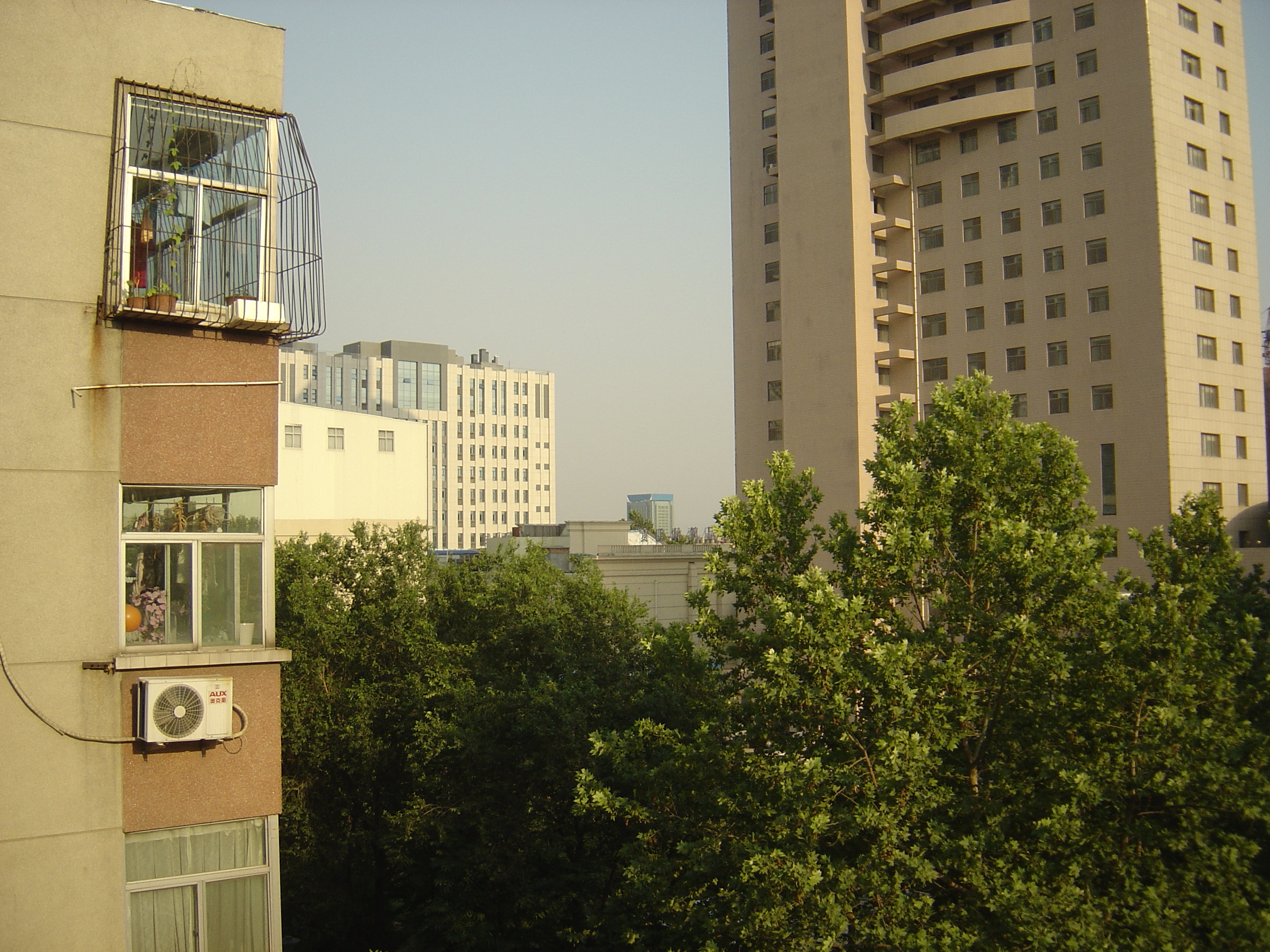 DSC00151.JPG