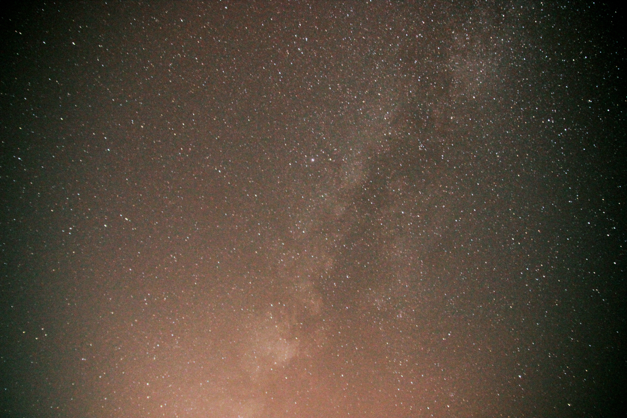 IMG_7402.jpg