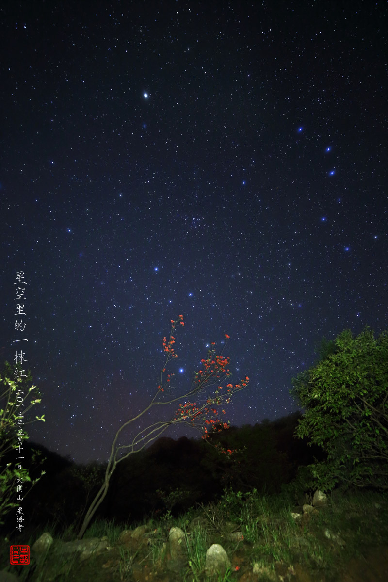 01星空里的一抹红.jpg