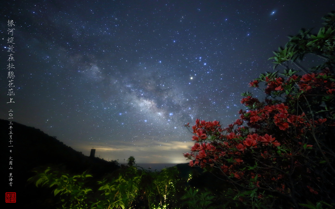 03银河绽放在杜鹃花蕊上.jpg