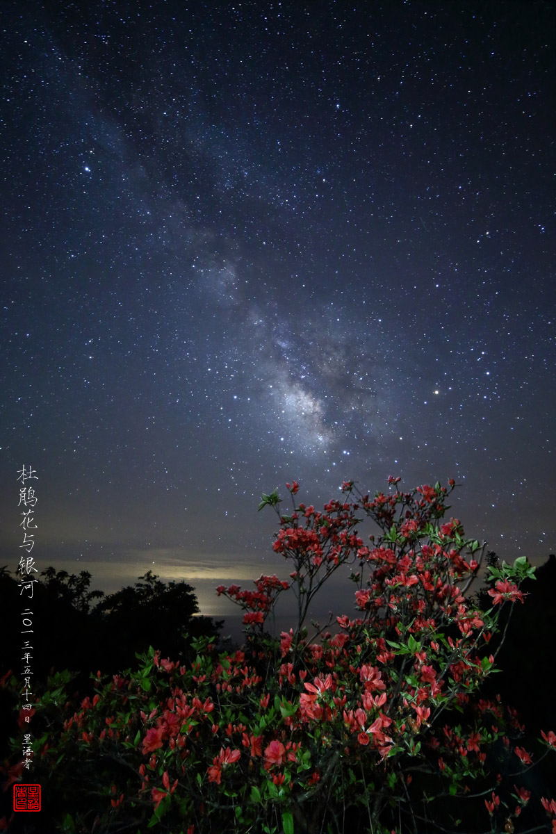 05银河，绽放在杜鹃花蕊上.jpg