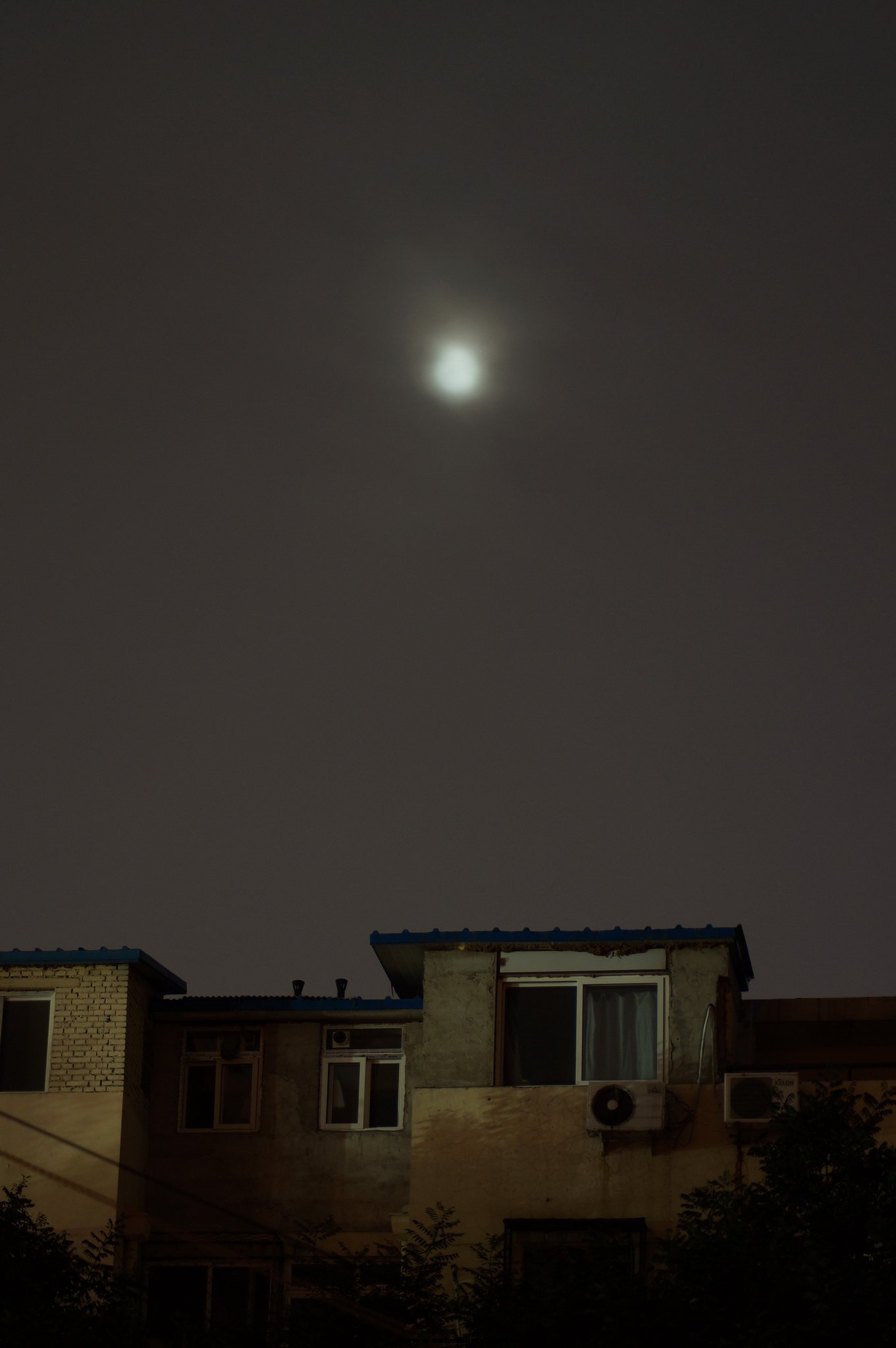 DSC04274a.jpg