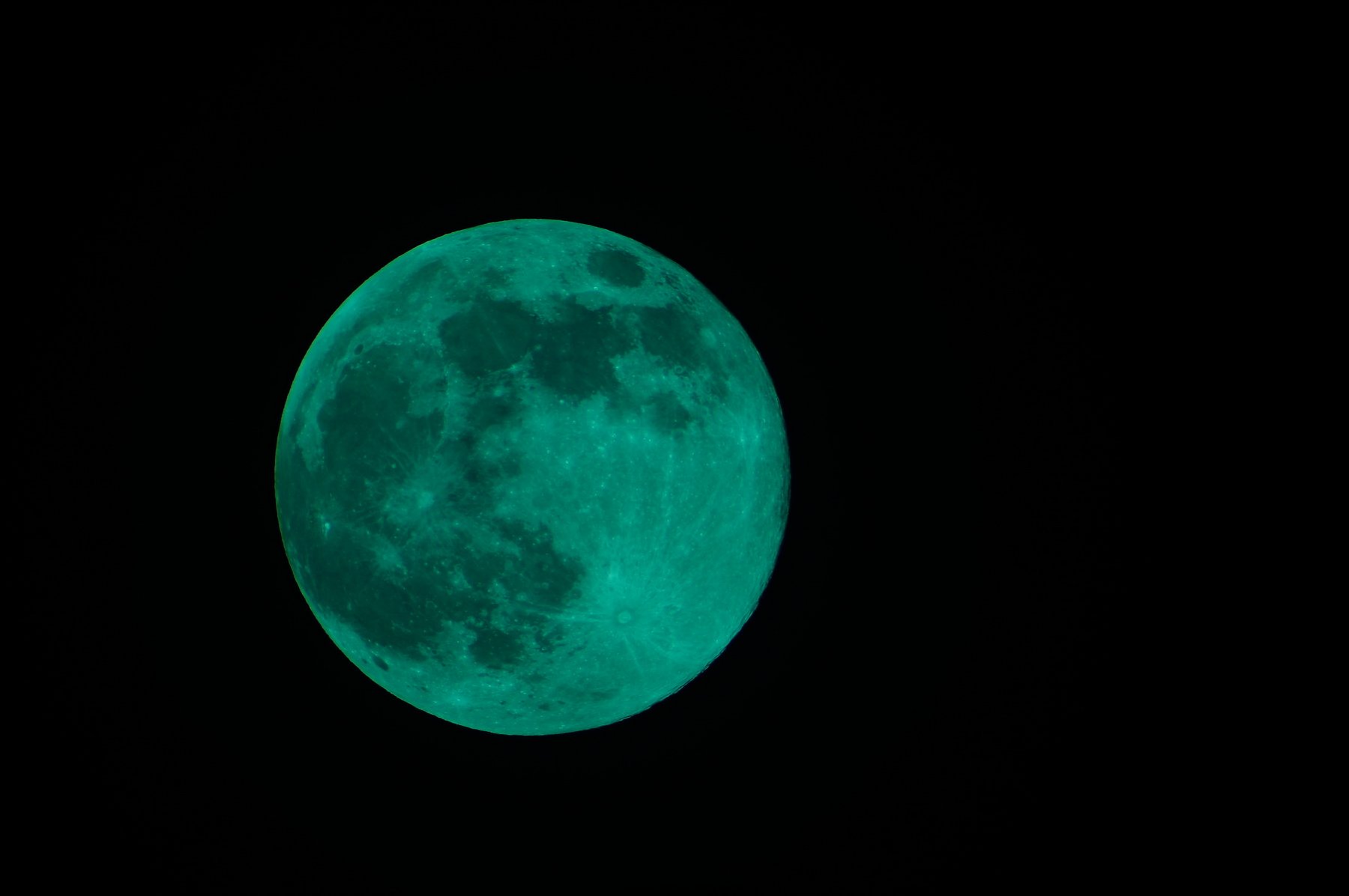 DSC08579_调整大小.JPG